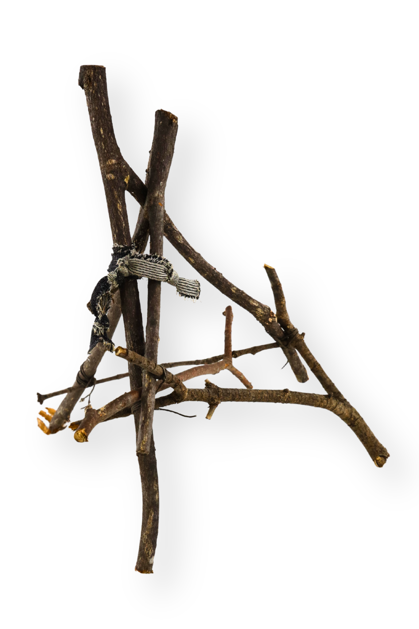 Standing Branches