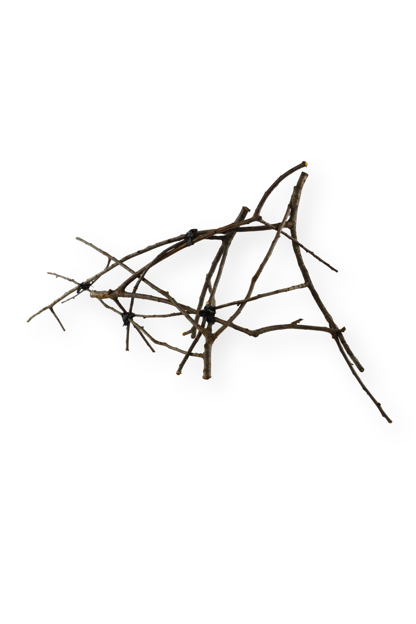 Branch Assembly