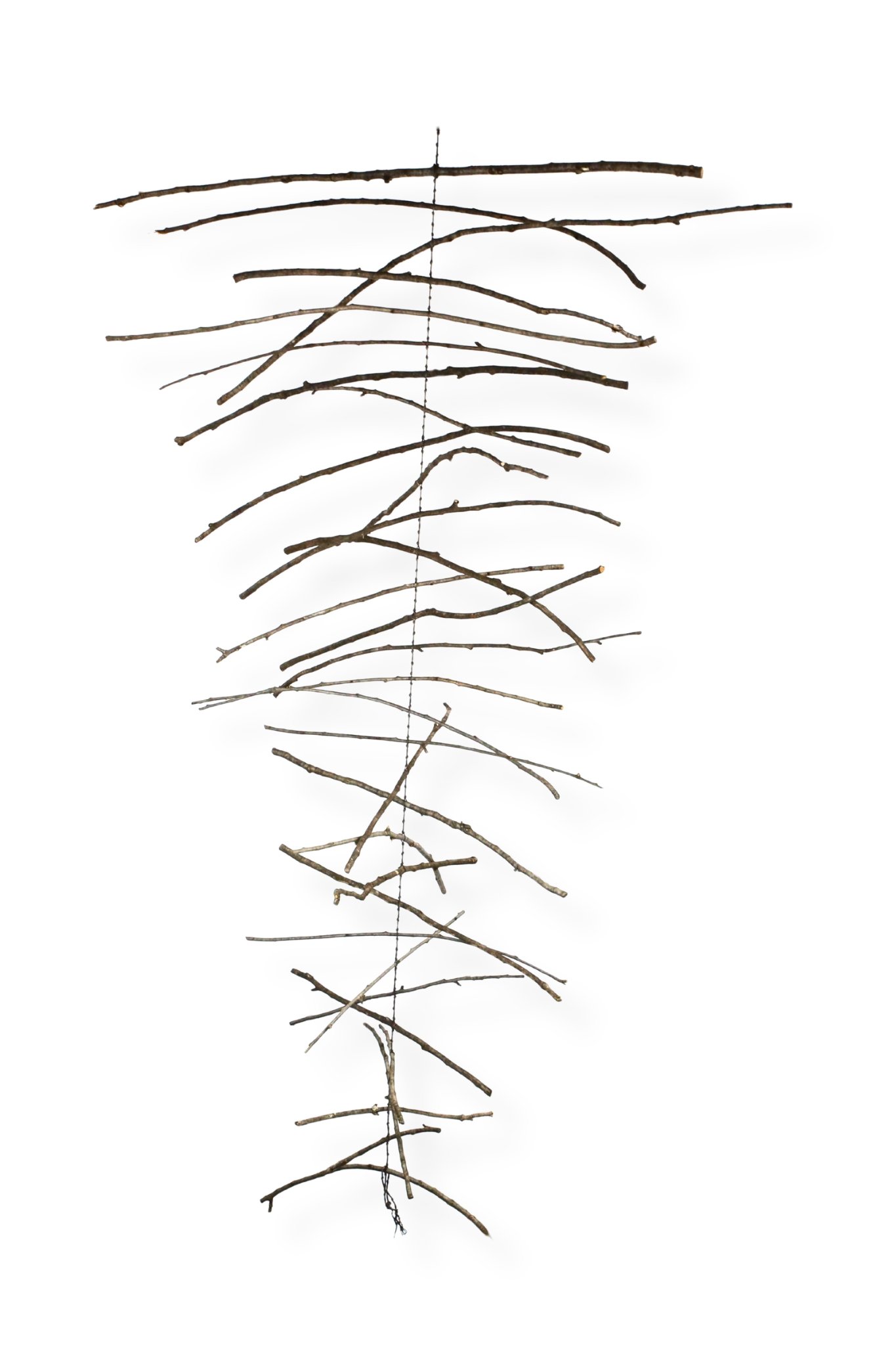 Blind Woods (18), 77 x 39, waxed cotton cord