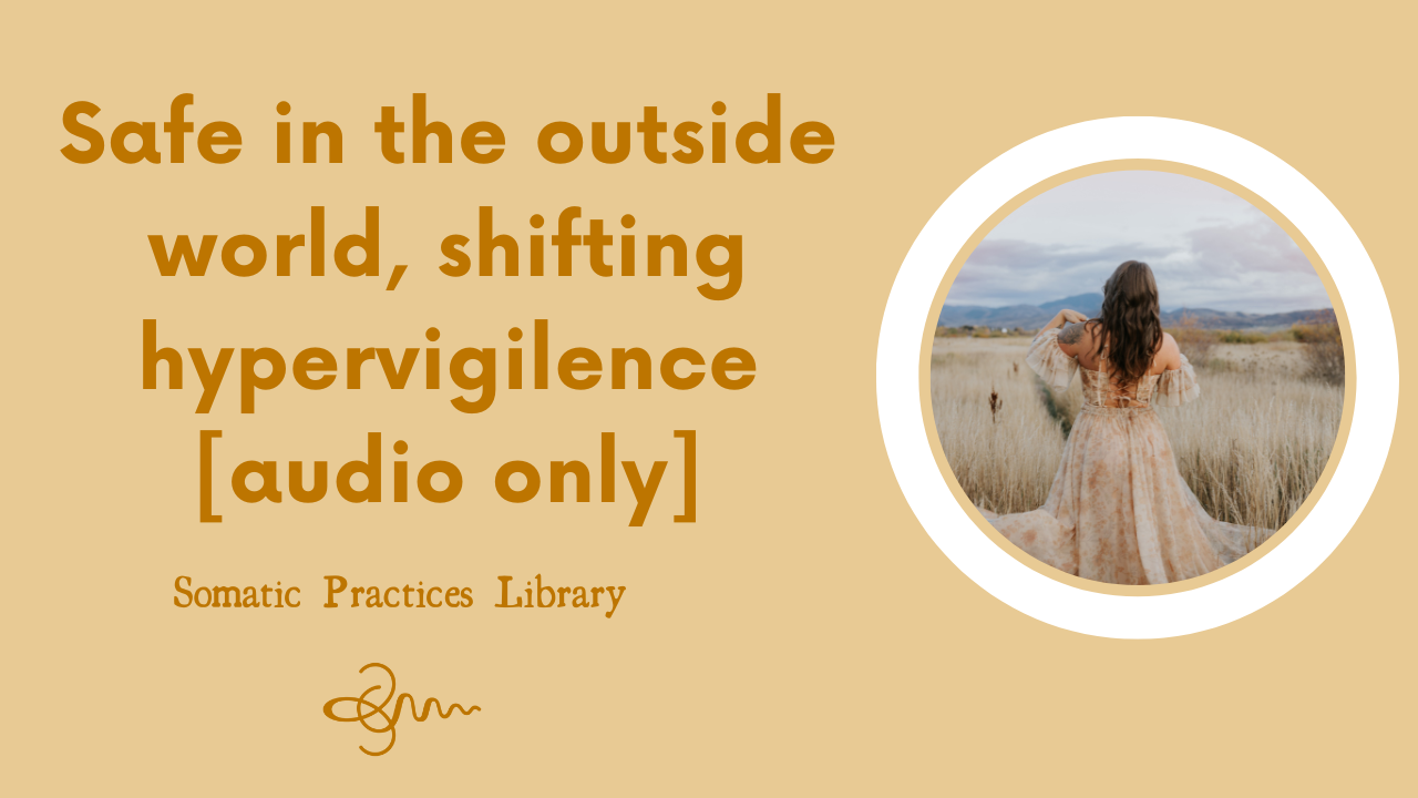 Safe in the Outside World-shifting hypervigilance- [audio only]