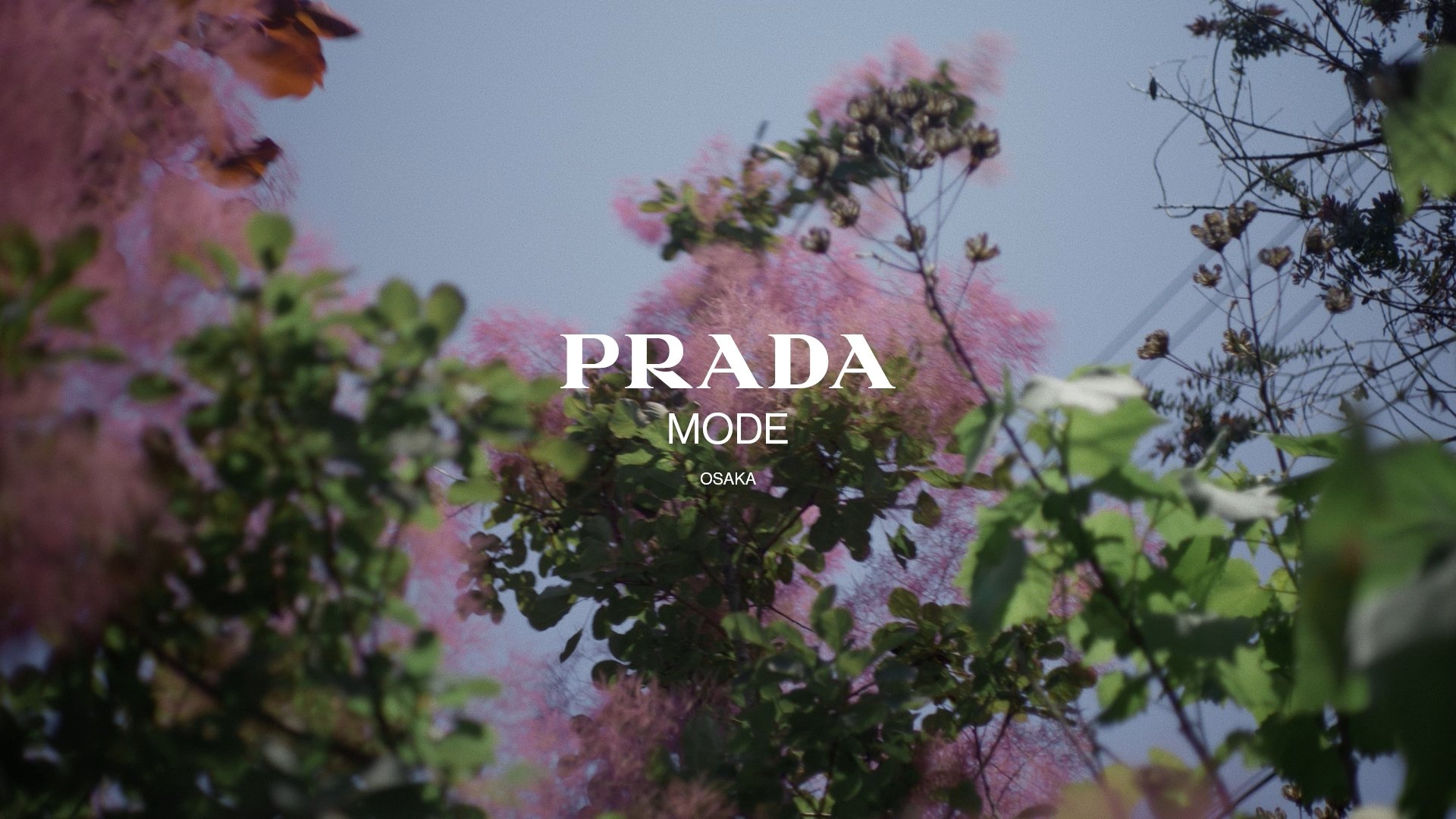 prada.jpg