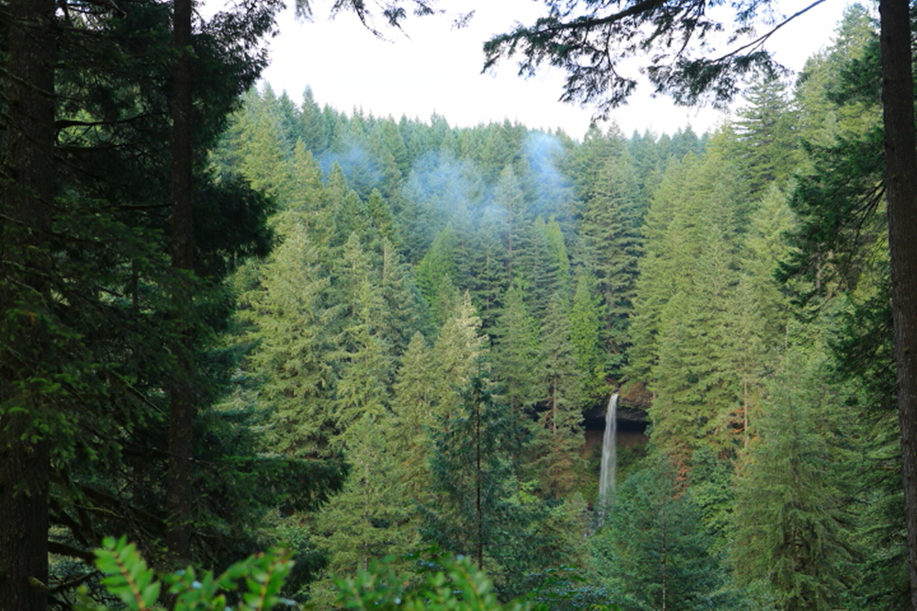 DPP_0005.JPG