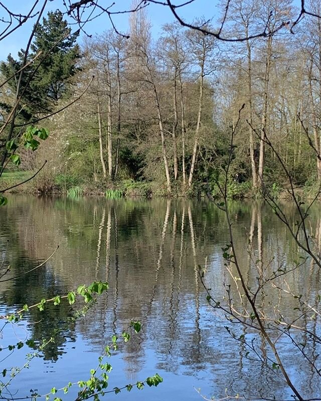 Photo of the day 7th April 2020. #Reading #University #early #morning #walk #lake #sunshine #reflection #meditation #mindfulness