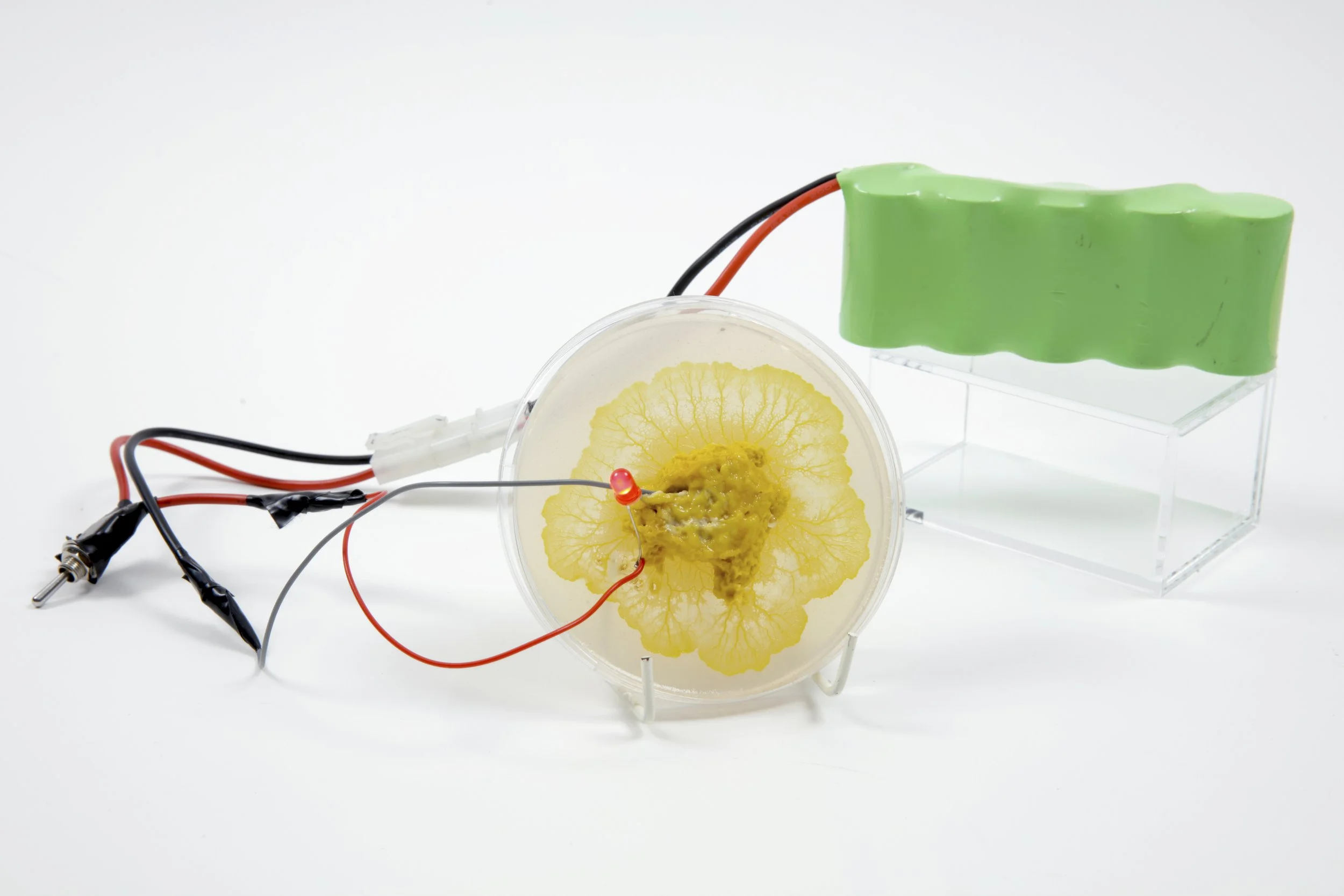 _14A0022(1) copy.jpg