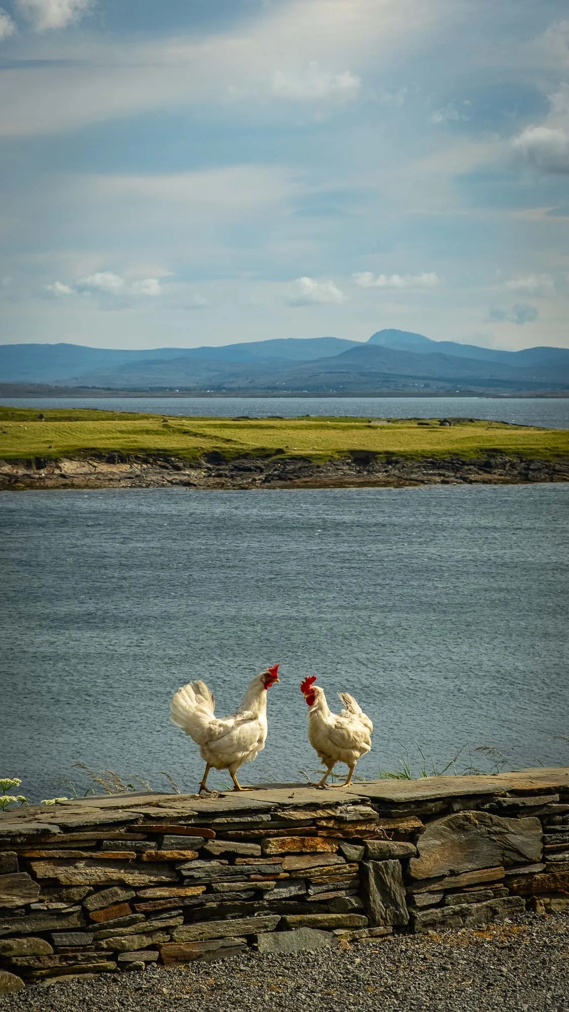 Bikepacking 2024-29.jpg