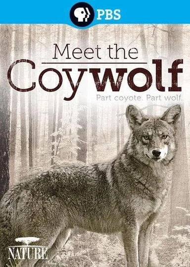 Meet the Coywolf - Film Screening — Havre de Grace Maritime Museum