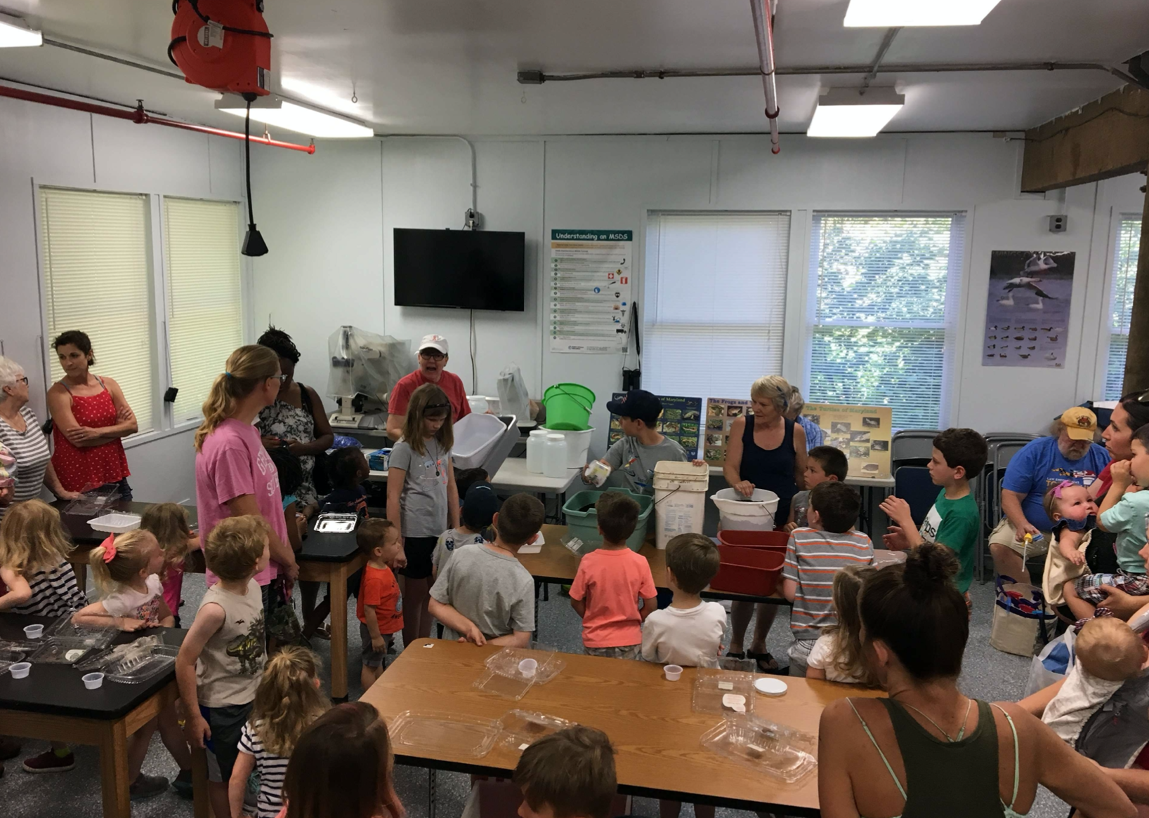 Kid's Summer Story Time