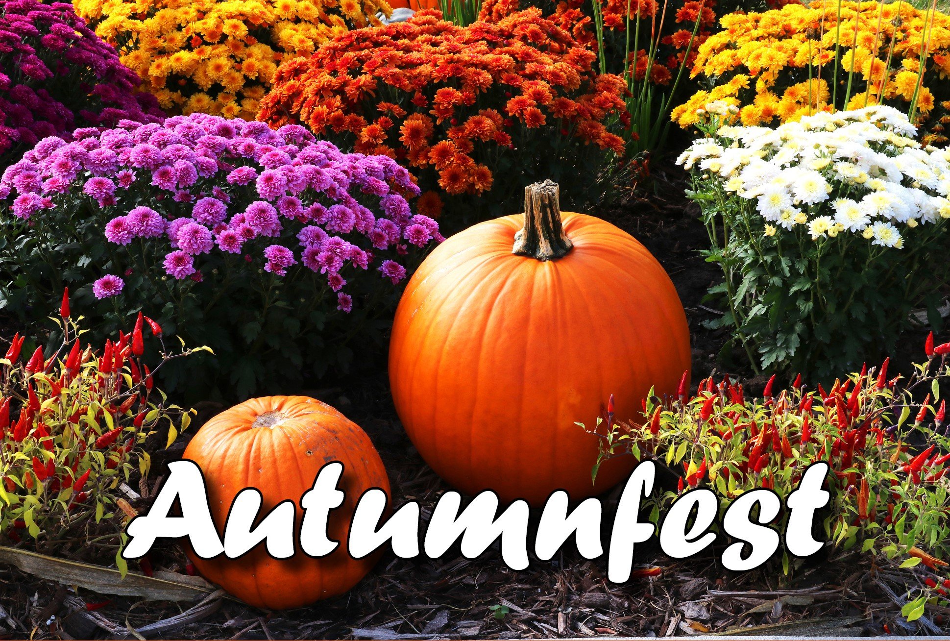 Havre de Grace Maritime Museum