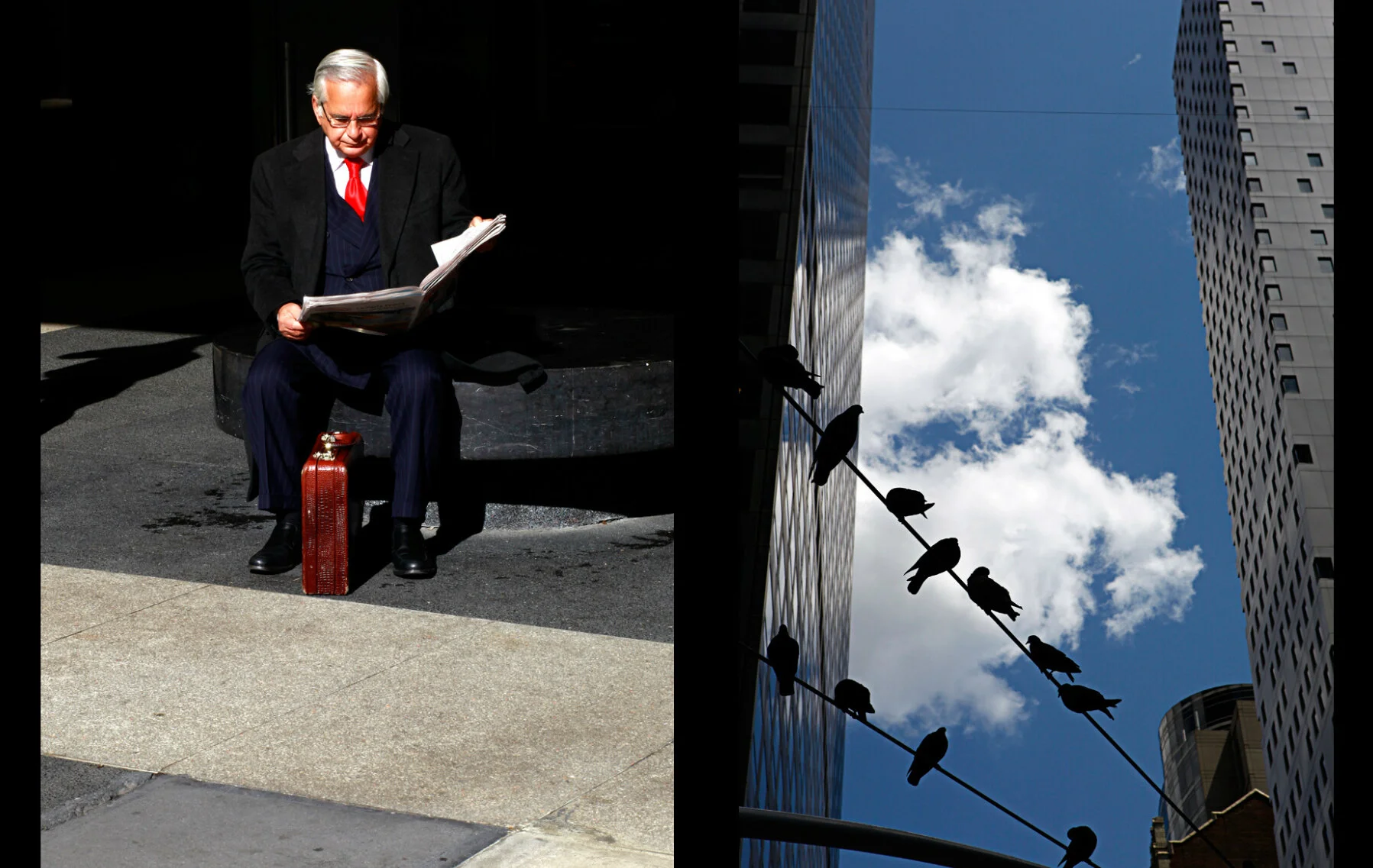 suit_birds.jpg