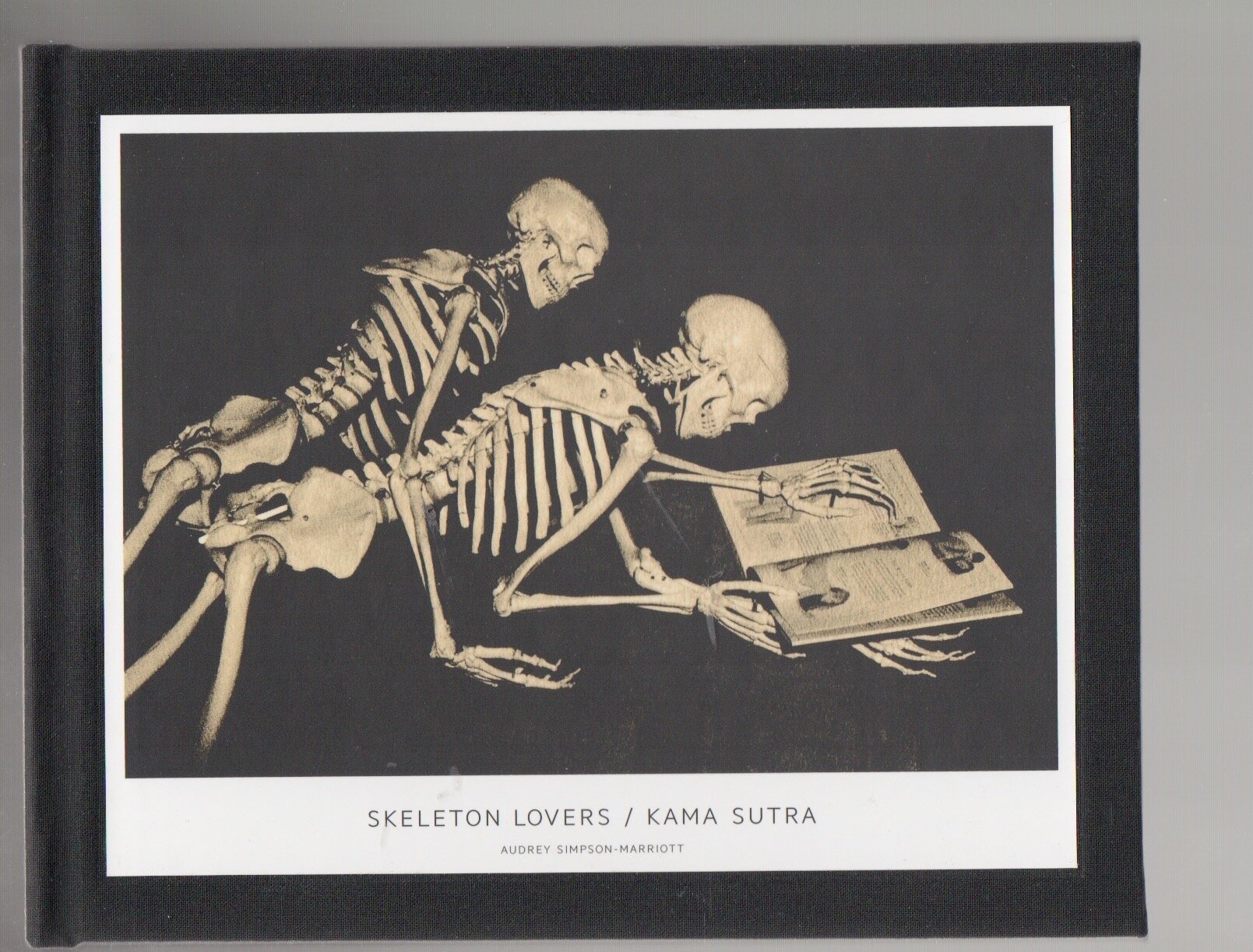 Skeleton Lovers - book.jpeg