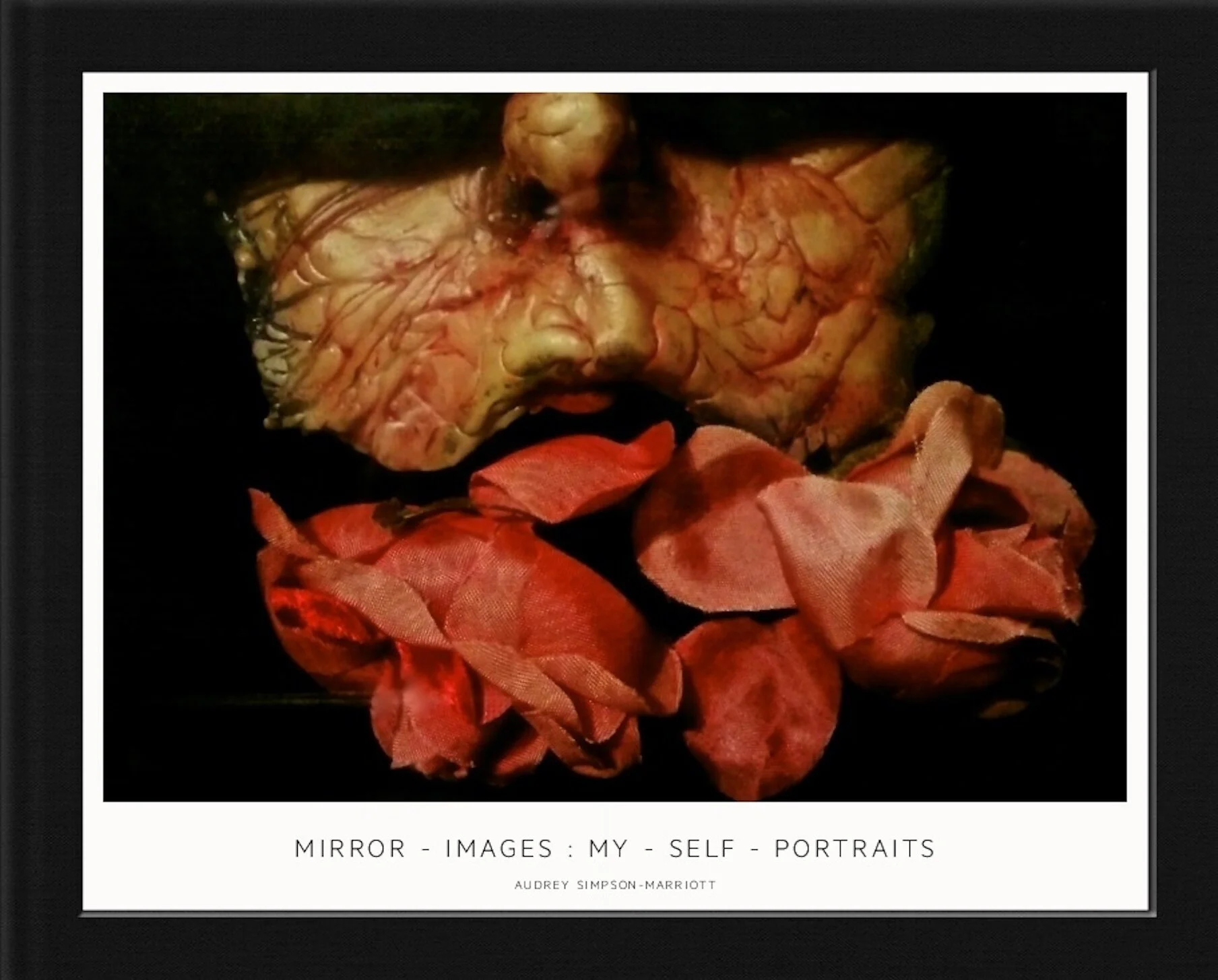 MIRROR - IMAGES : MY - SELF - PORTRAITS  (2015)