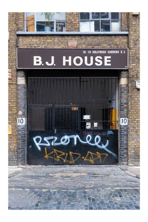 BJ House 16x24.jpg