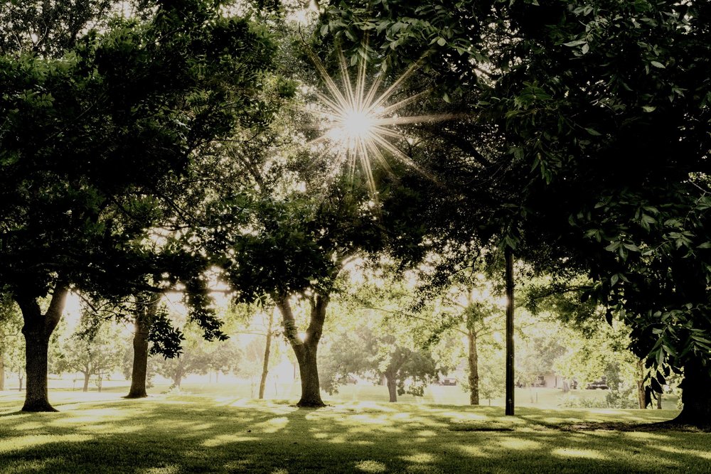 Mobile Pet Cremations Private Pet Cremations mobile-pet-cremations-private-pet-cremations