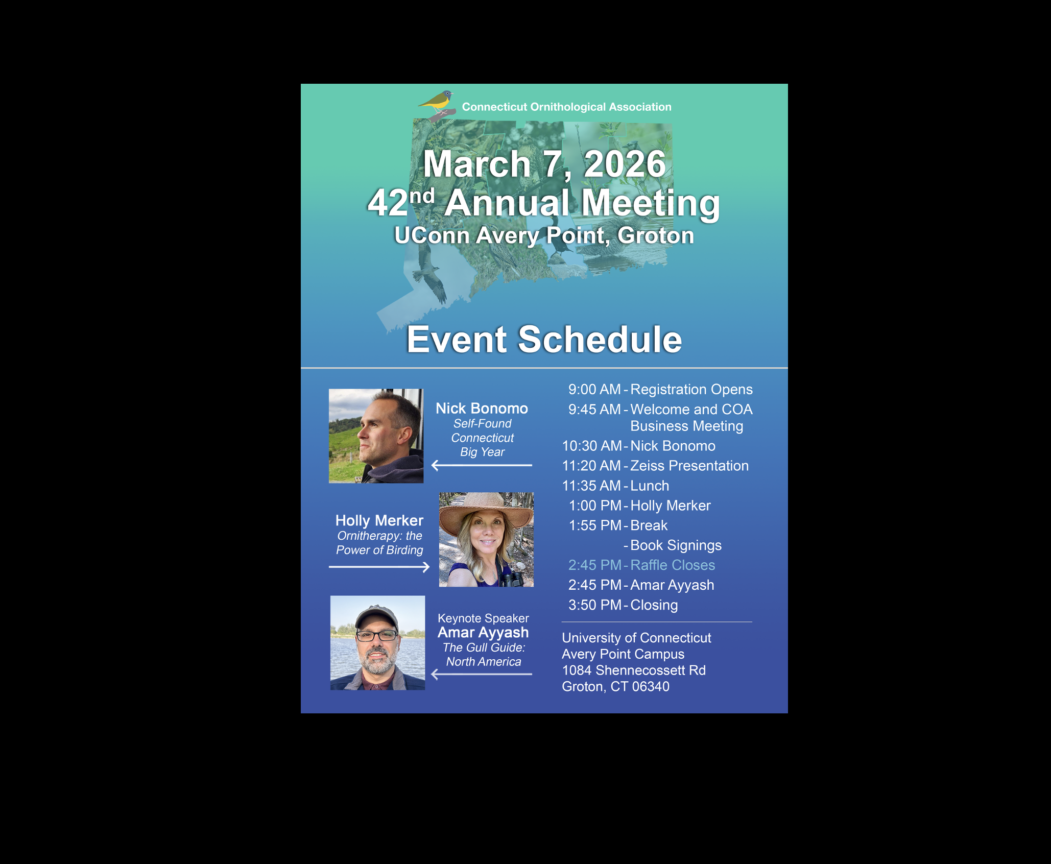 Ornitherapy: The Power of Birding