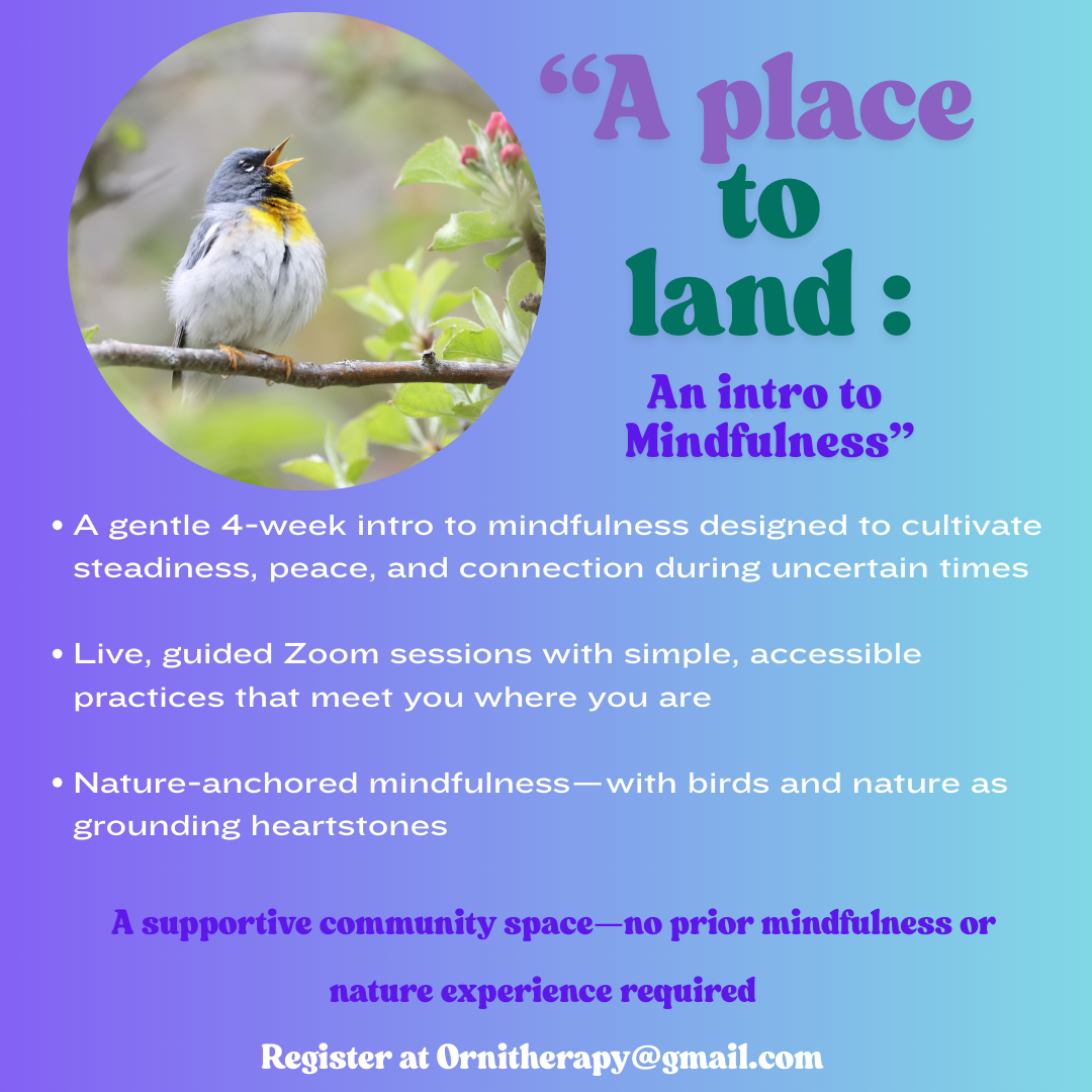 A Place to Land: An Intro to Mindfulness