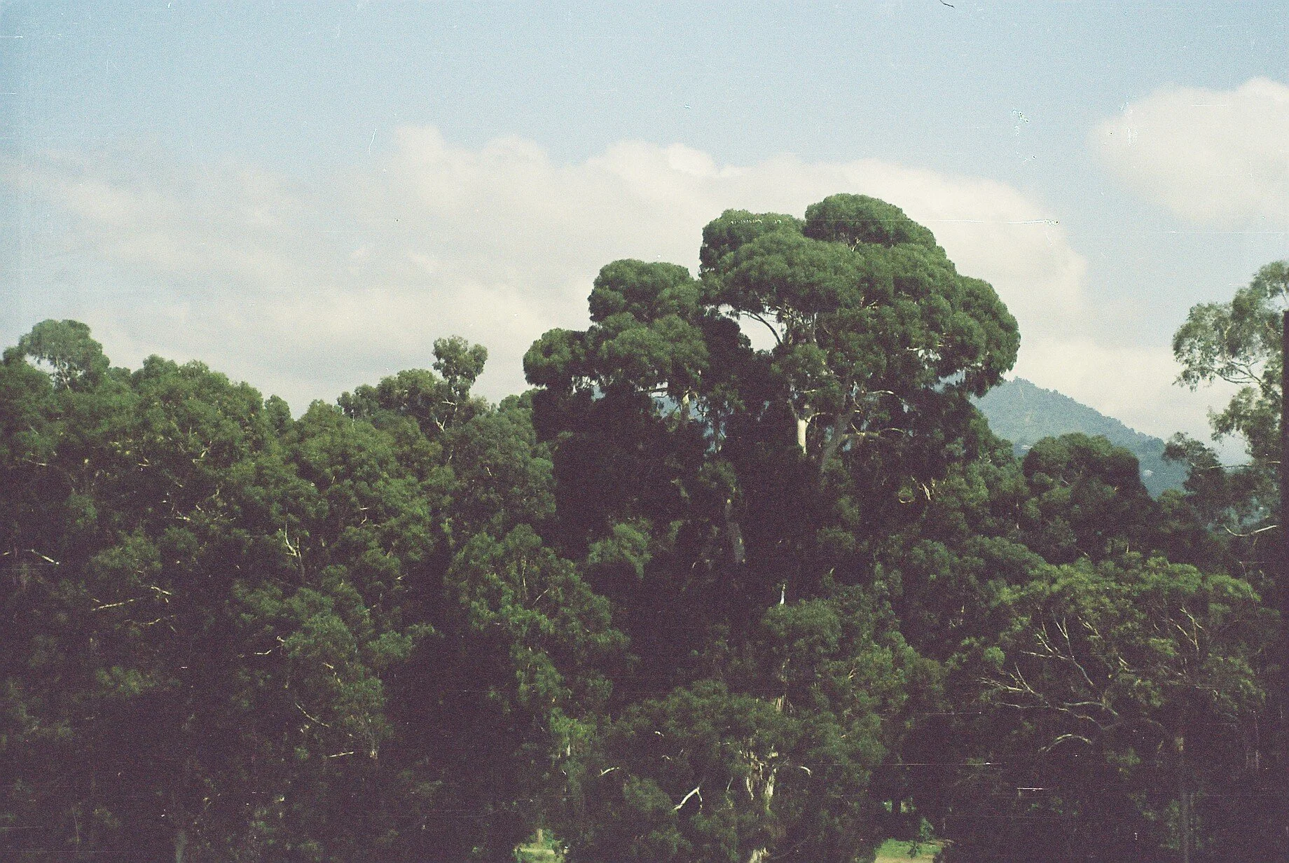 F8880034.JPG