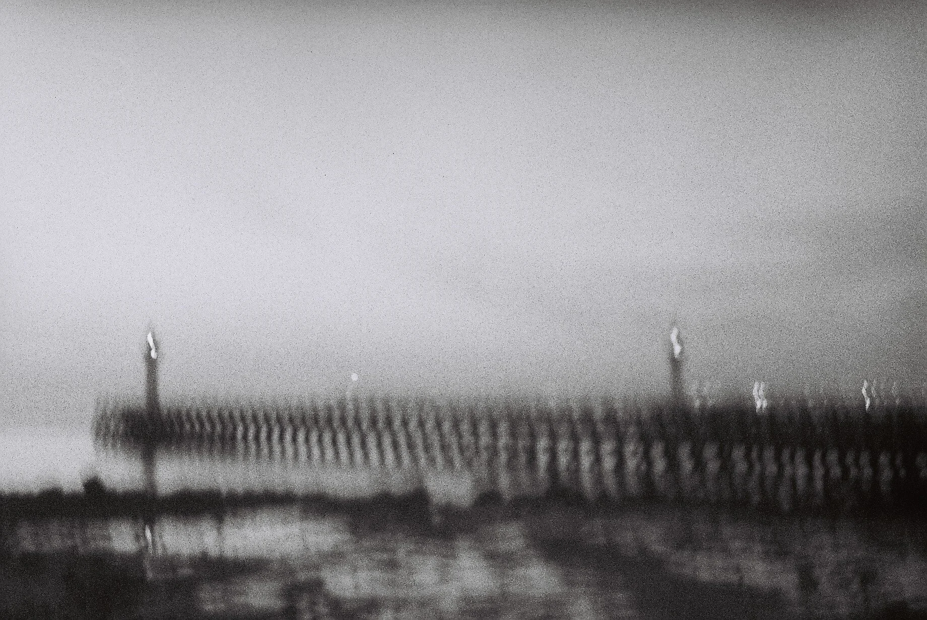 F8820040.JPG