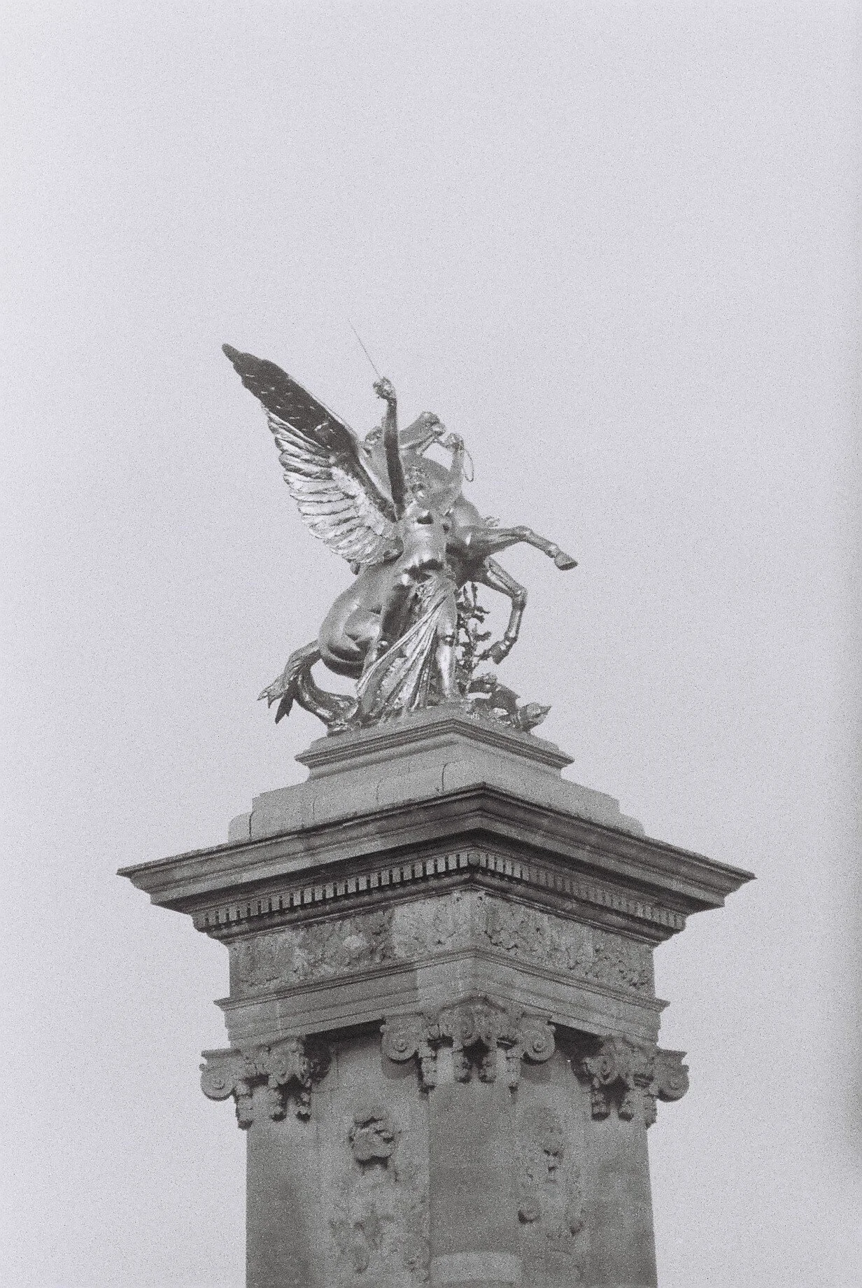 F8820081.JPG