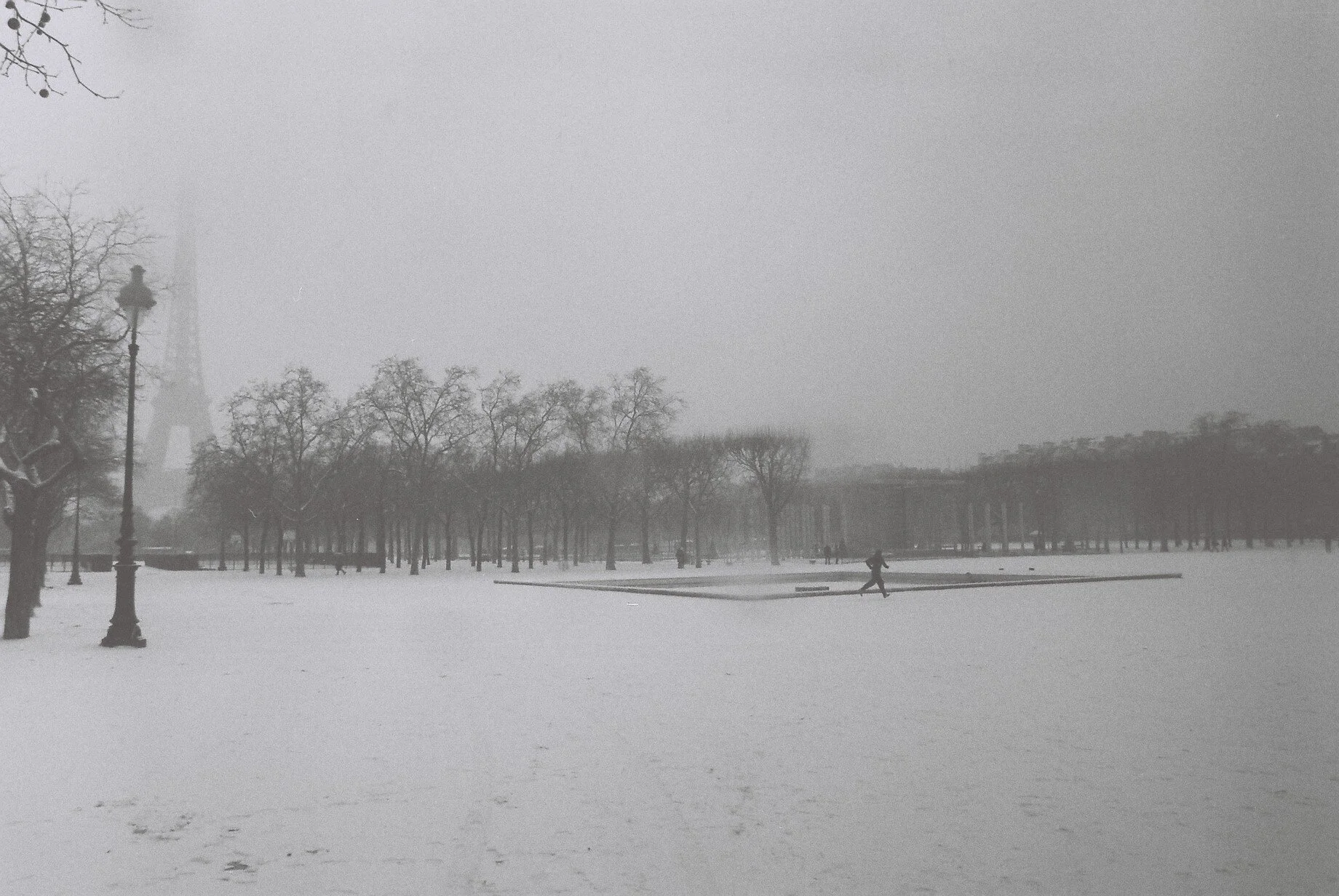 F8860038.JPG