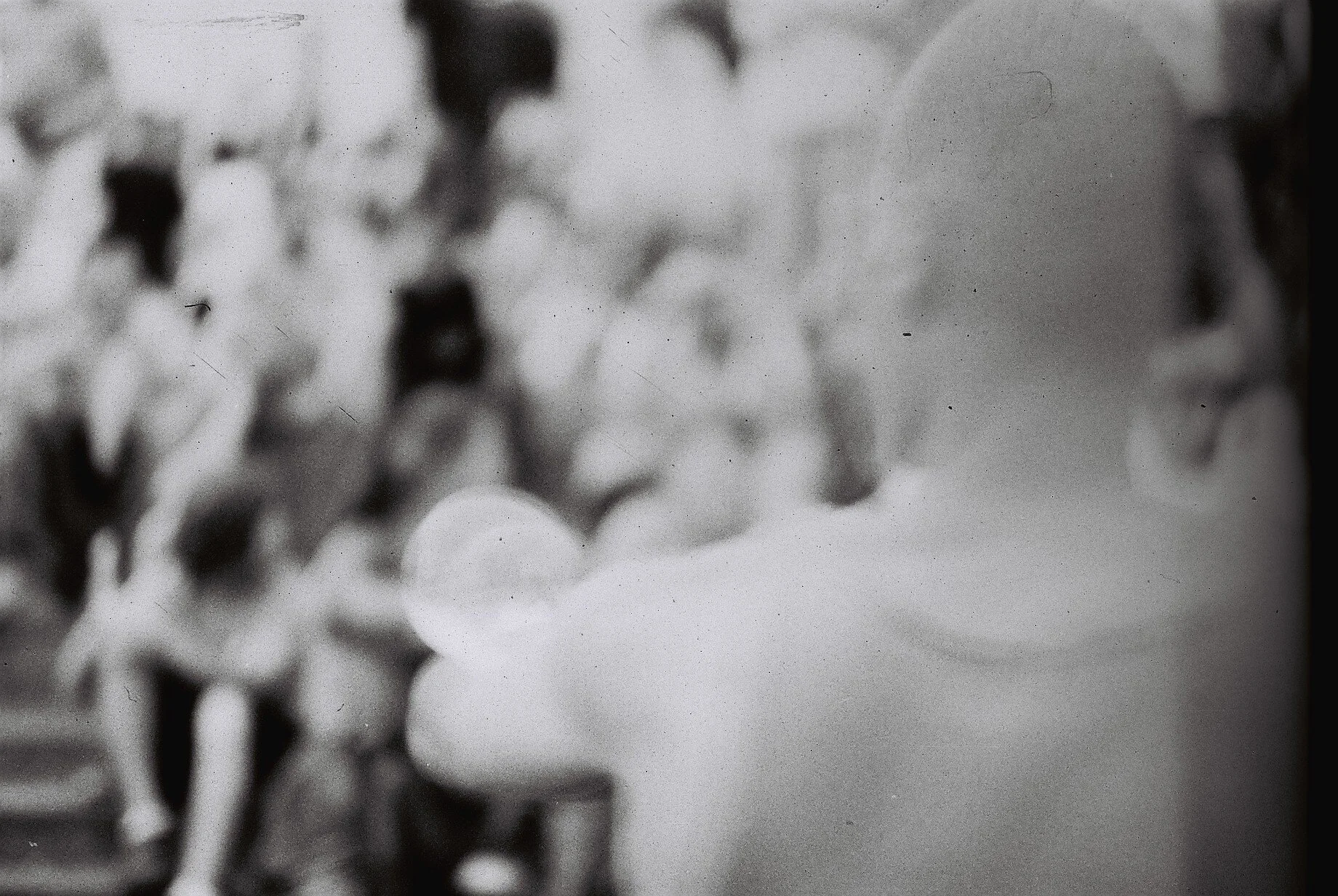 F8900002.JPG
