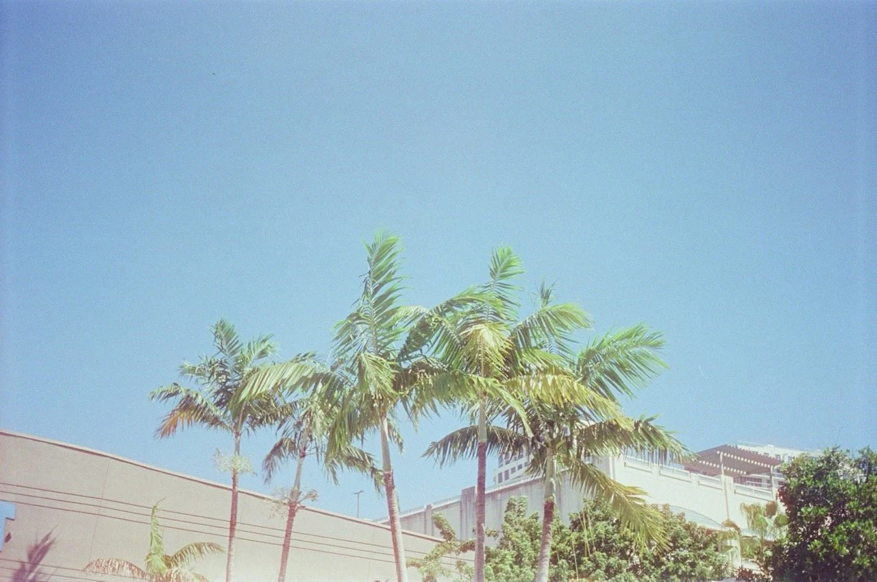 000391230021 Large.jpeg