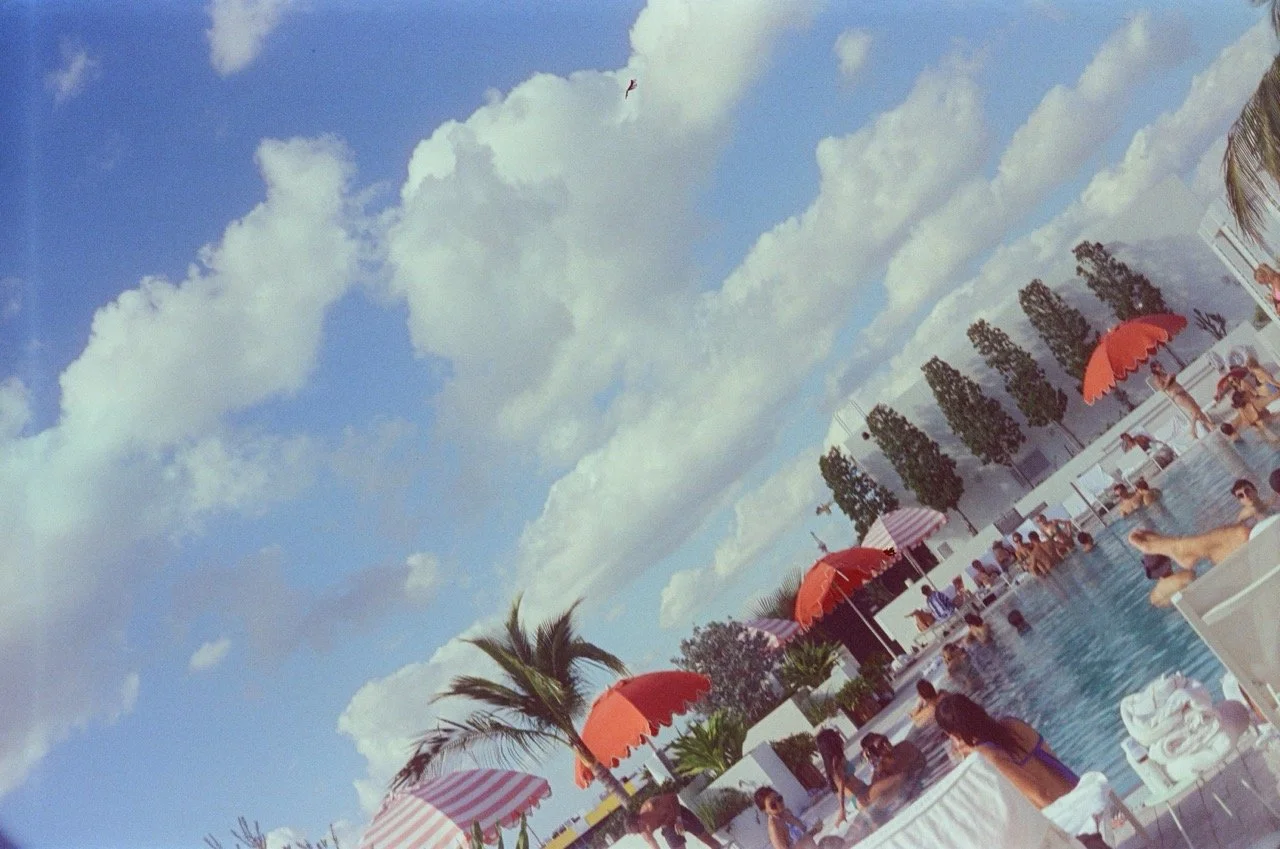 000391230013 Large.jpeg