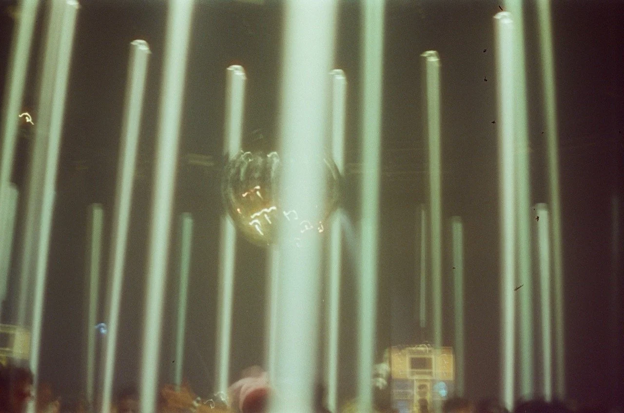 000391230007 Large.jpeg