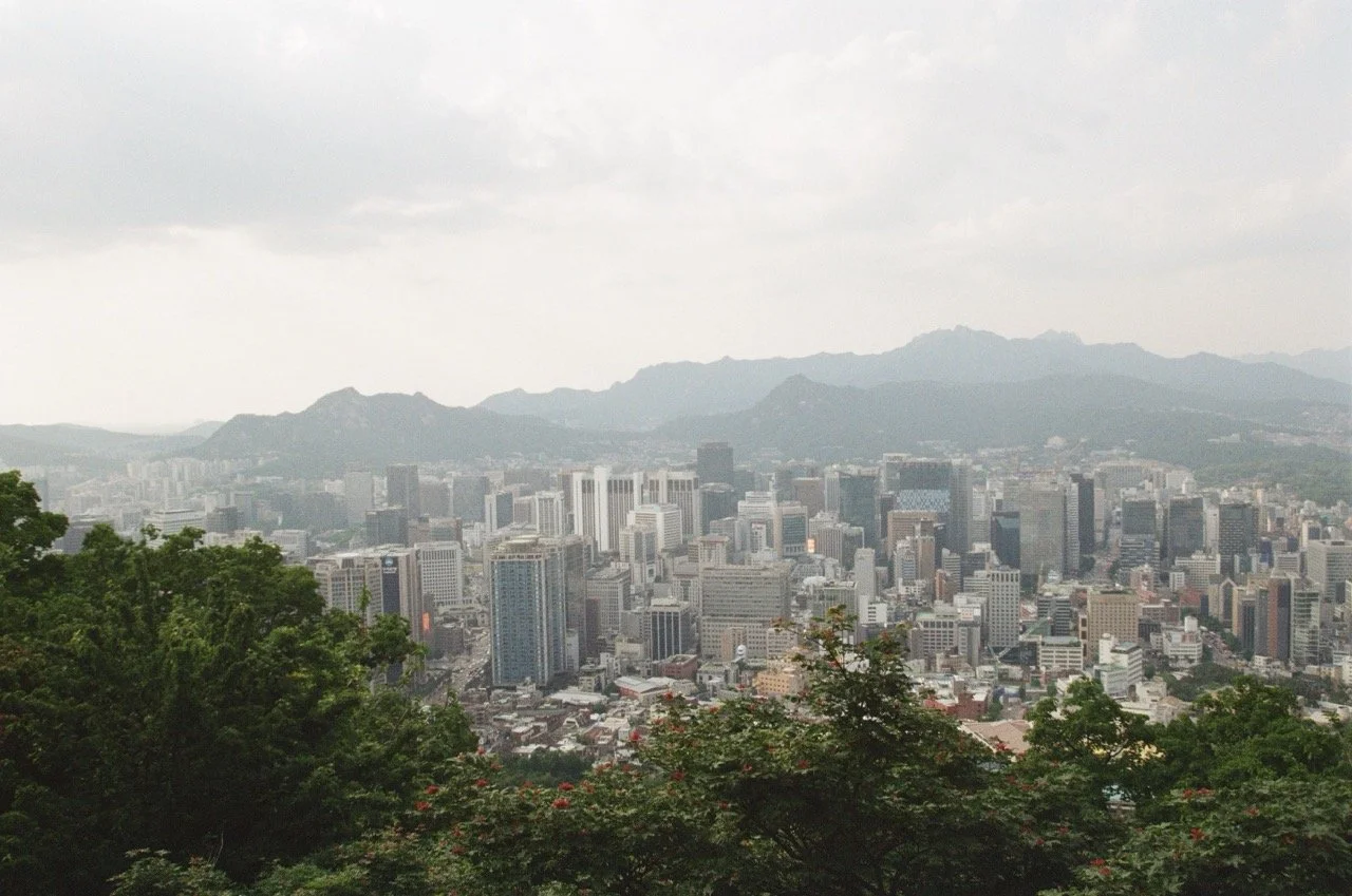 MagnoliaFilmLab187627 Large.jpeg