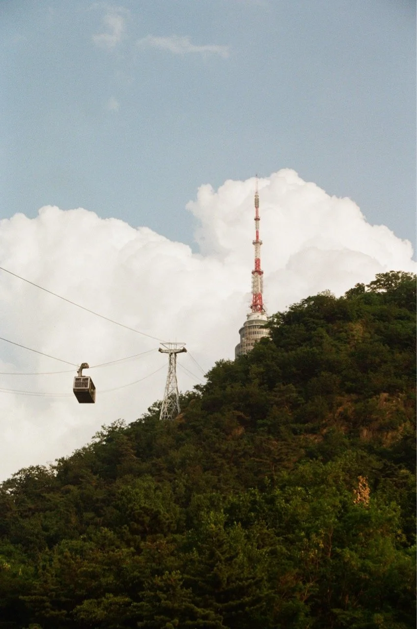 MagnoliaFilmLab187630 Large.jpeg