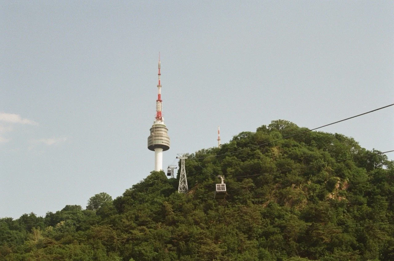 MagnoliaFilmLab187618 Large.jpeg