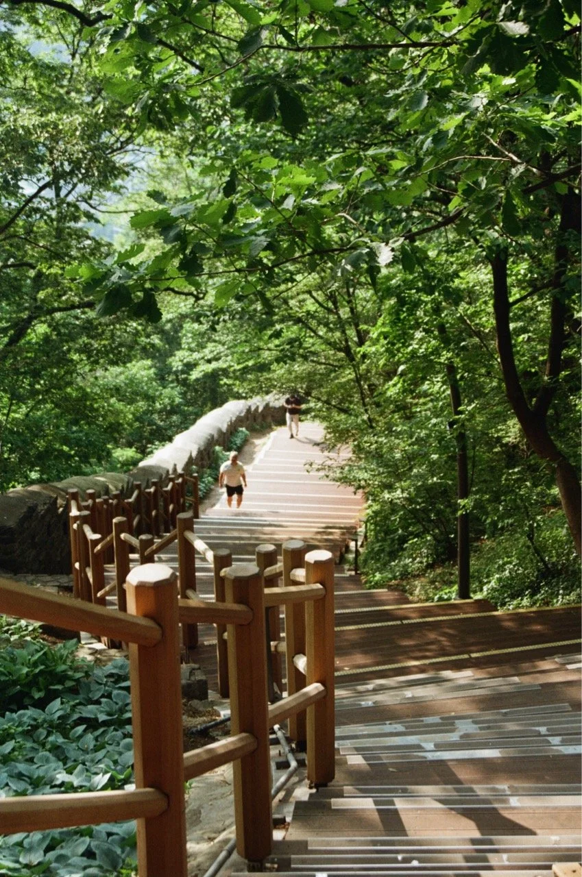 MagnoliaFilmLab187619 Large.jpeg