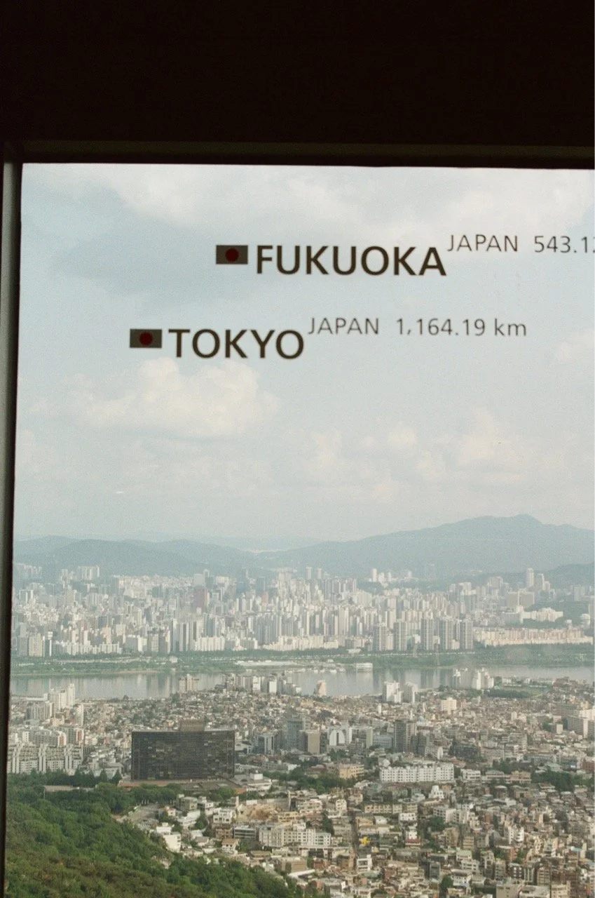 MagnoliaFilmLab187624 Large.jpeg