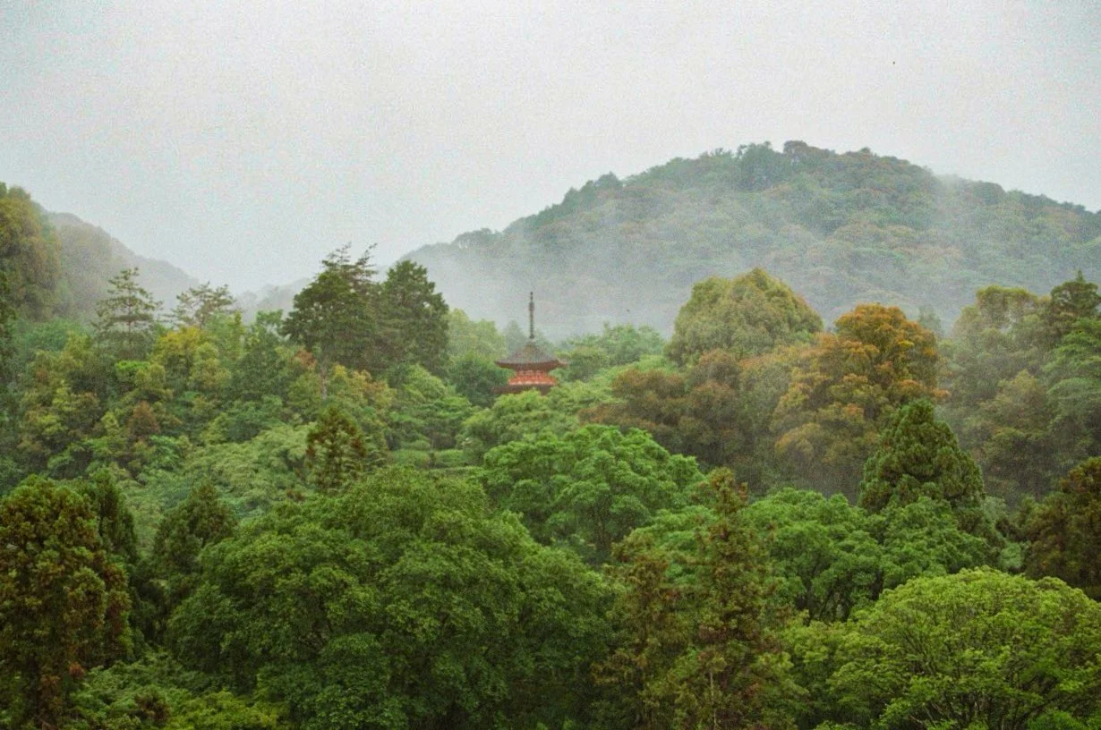 MagnoliaFilmLab187650 Large.jpeg