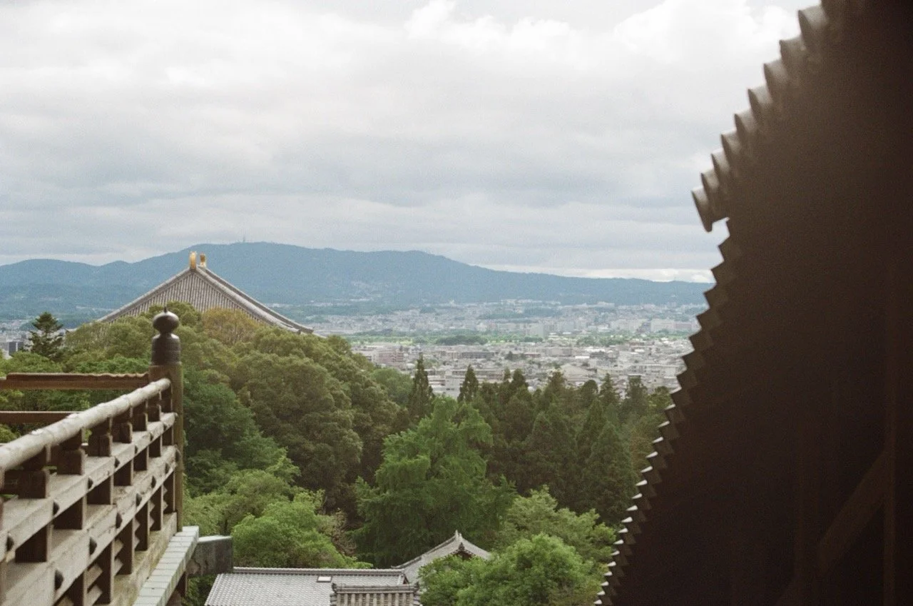 MagnoliaFilmLab187677 Large.jpeg