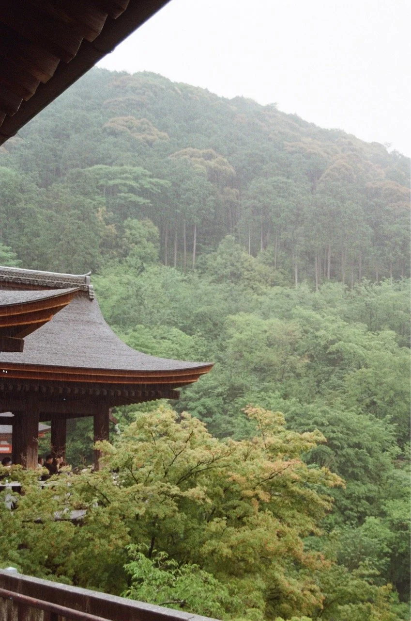 MagnoliaFilmLab187651 Large.jpeg