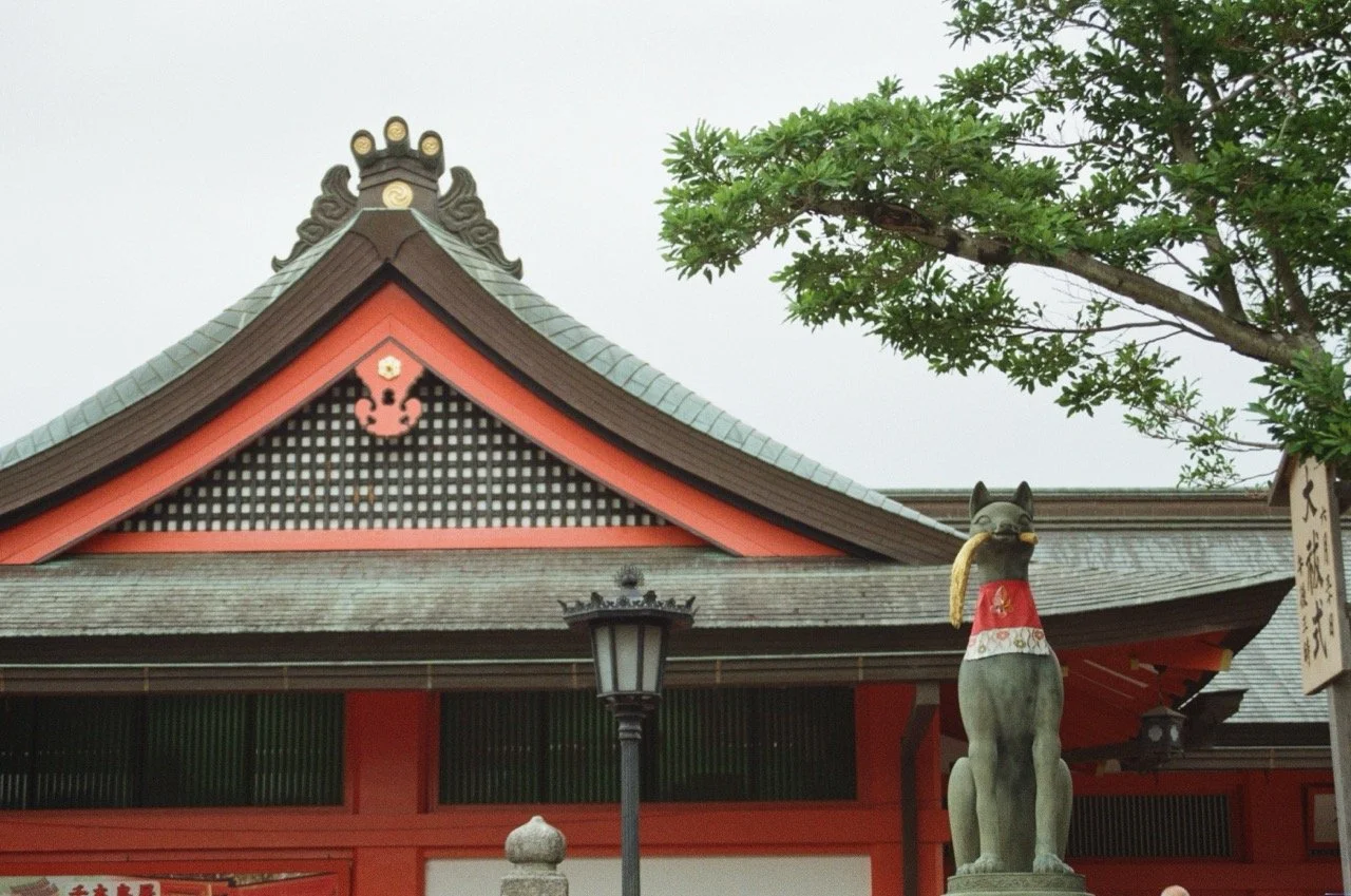 MagnoliaFilmLab187641 Large.jpeg