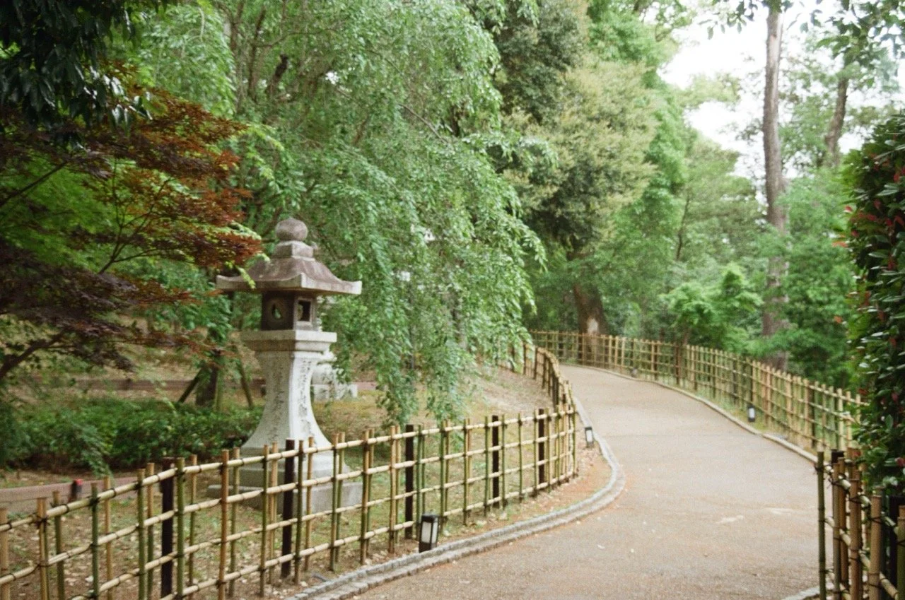 MagnoliaFilmLab187642 Large.jpeg