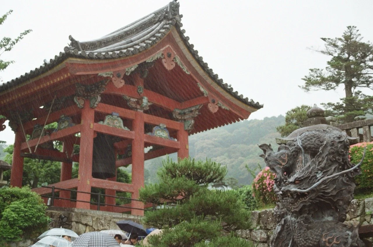 MagnoliaFilmLab187648 Large.jpeg