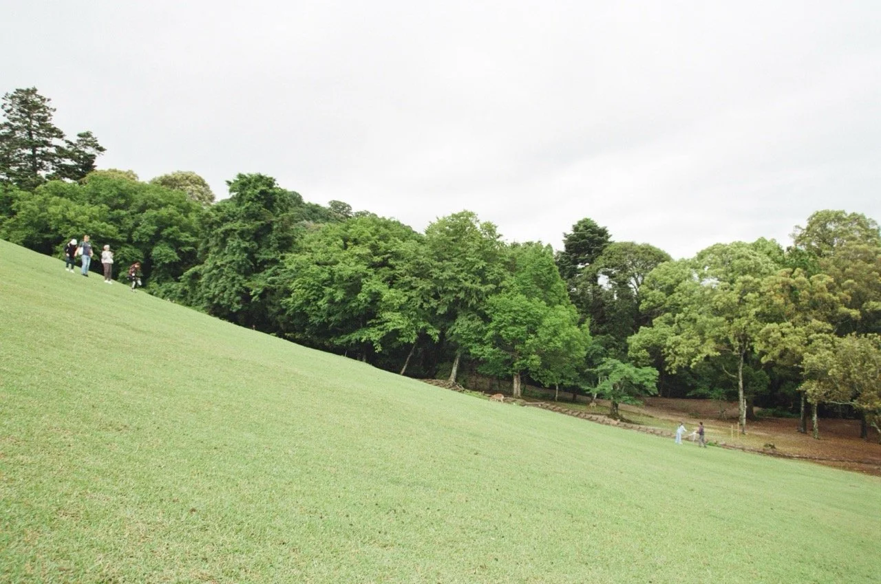 MagnoliaFilmLab187673 Large.jpeg