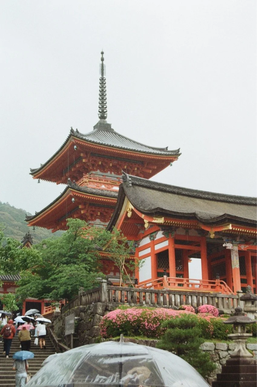 MagnoliaFilmLab187649 Large.jpeg