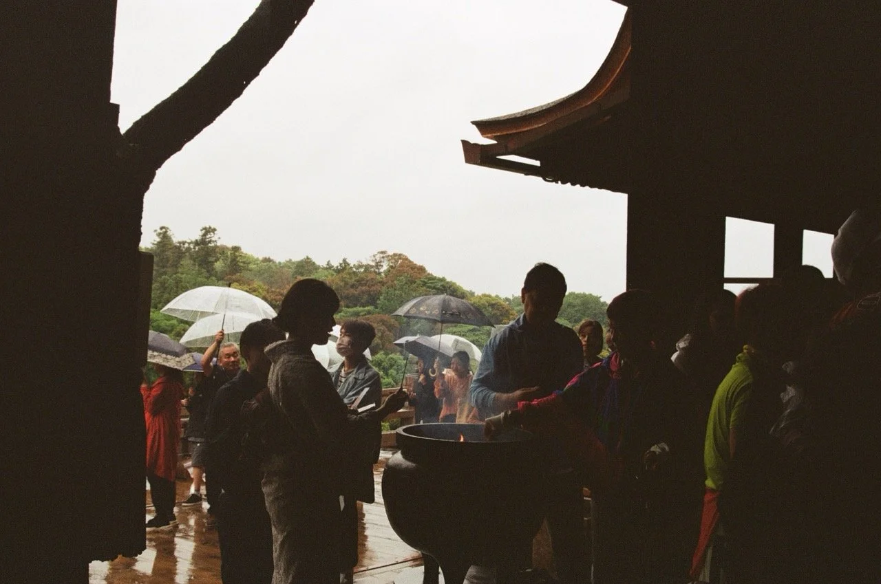 MagnoliaFilmLab187654 Large.jpeg