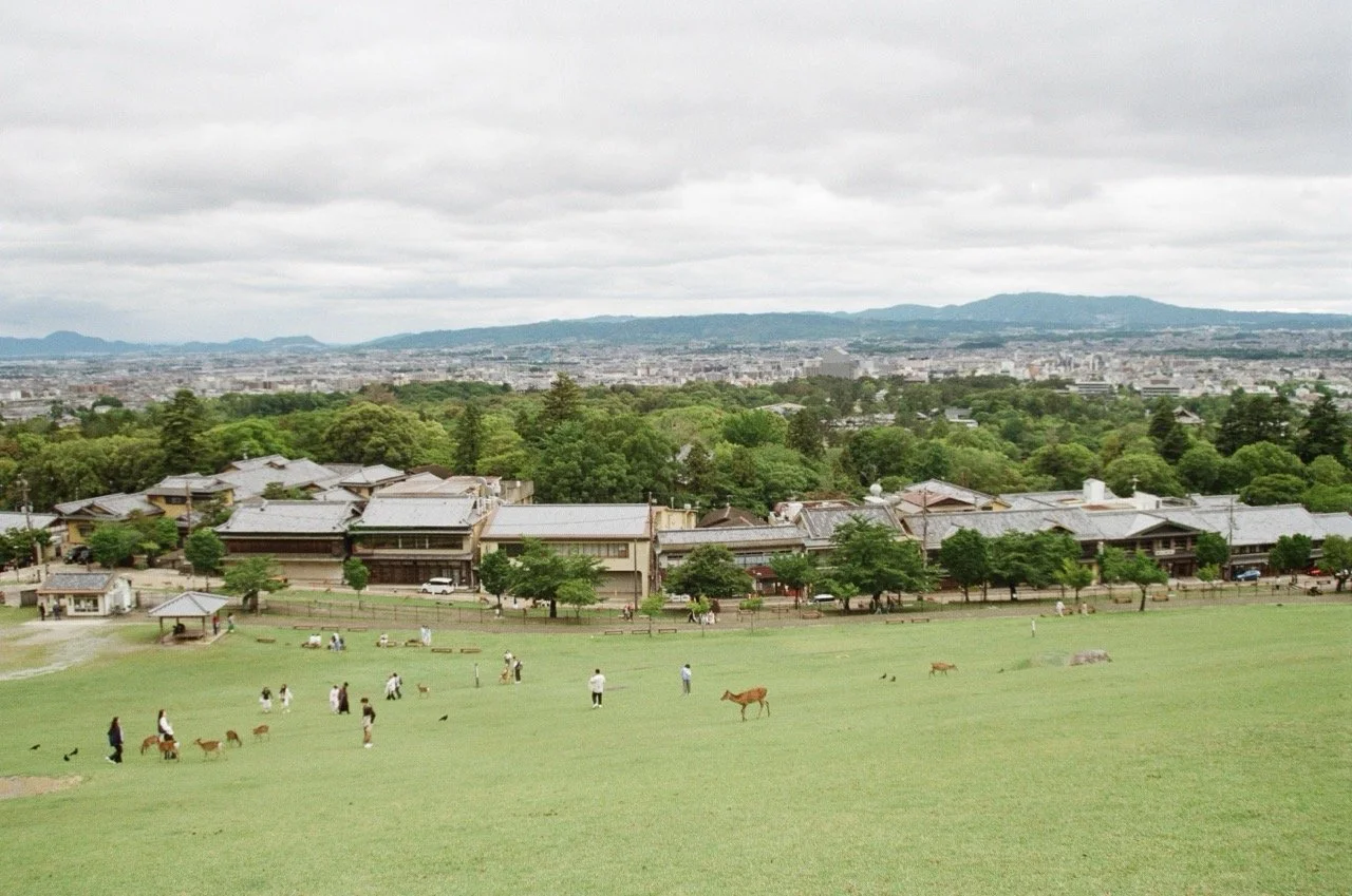 MagnoliaFilmLab187674 Large.jpeg