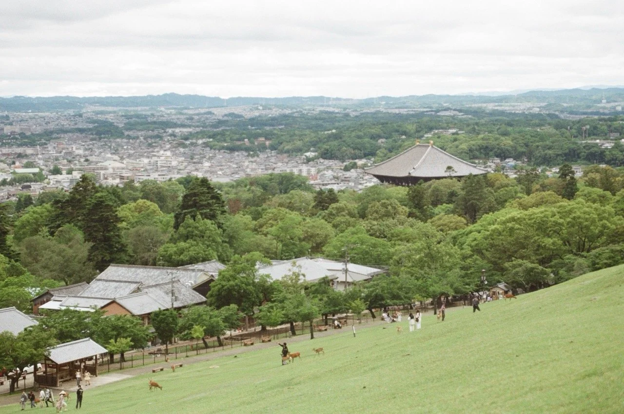 MagnoliaFilmLab187675 Large.jpeg