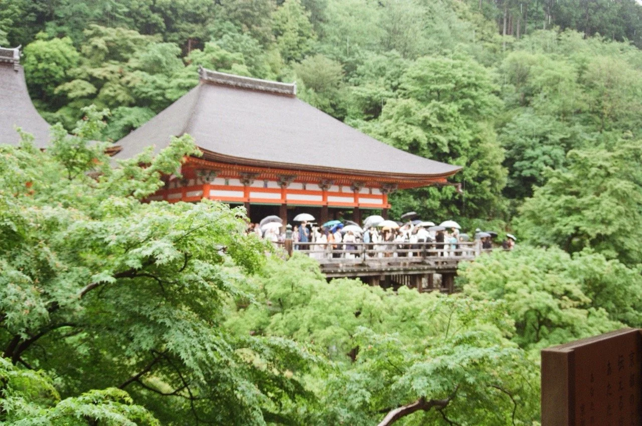 MagnoliaFilmLab187655 Large.jpeg