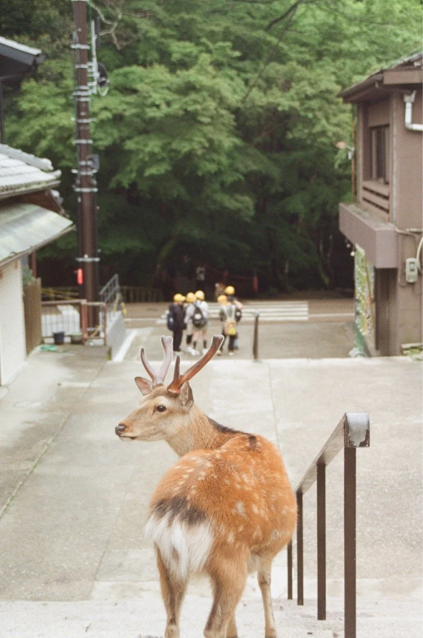 MagnoliaFilmLab187668 Large.jpeg