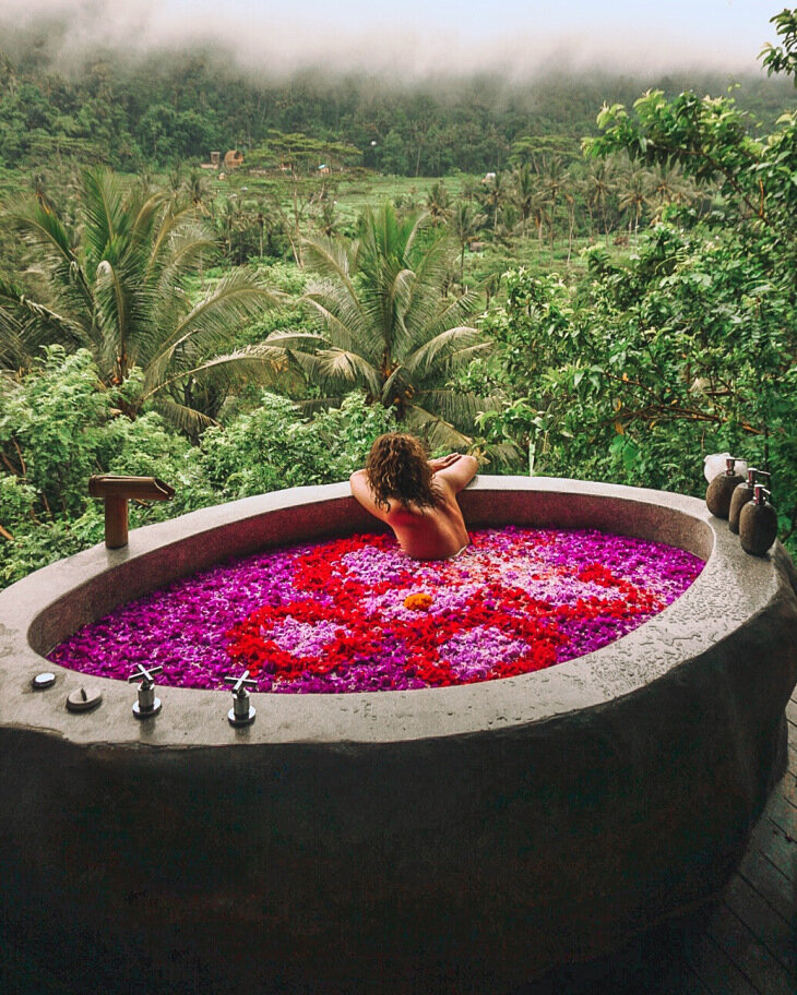  Flower Bath Looking To The Jungle At Wapa Di Ume