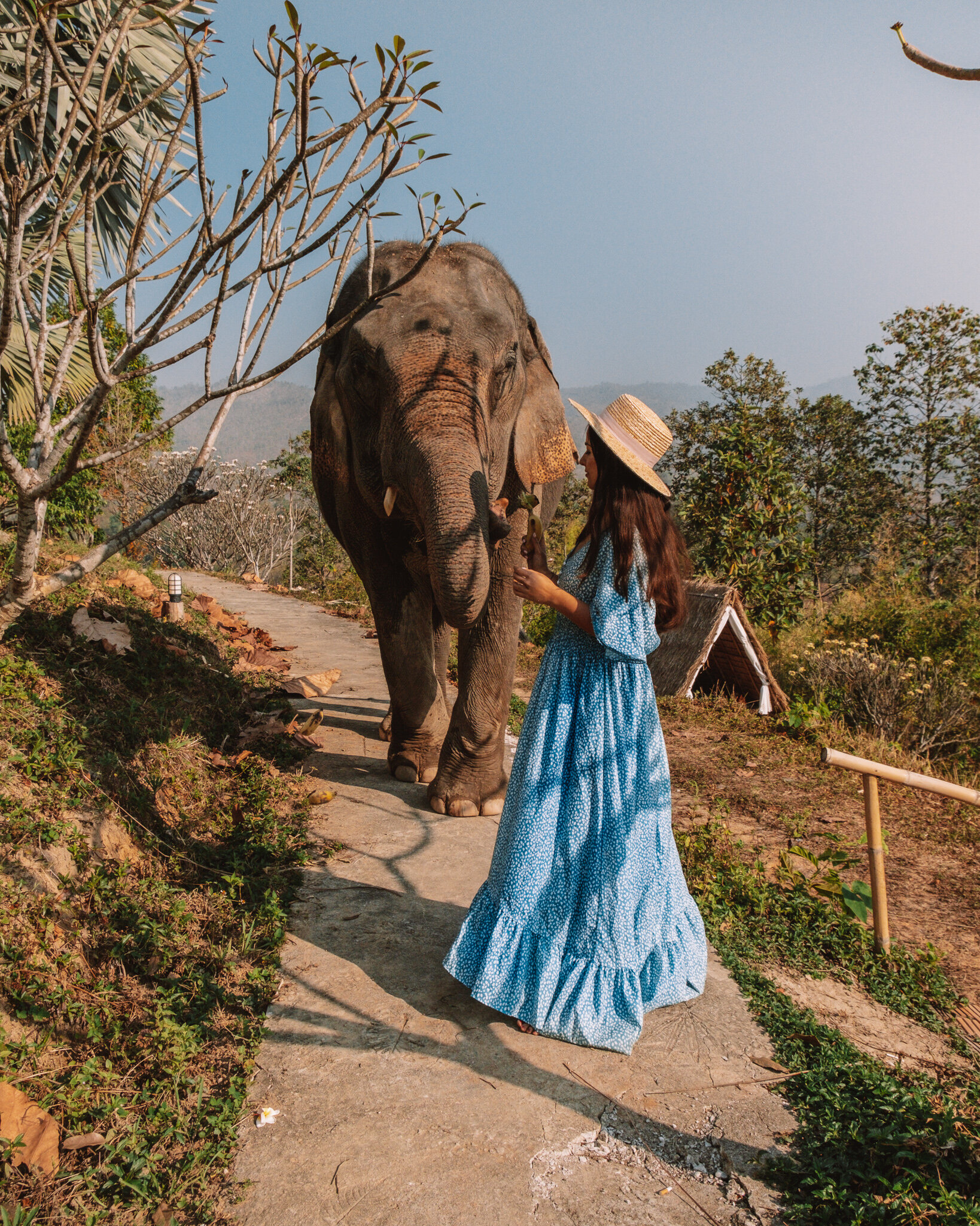 Chai Lai Orchid Eco Lodge In Chiang Mai With Elephants