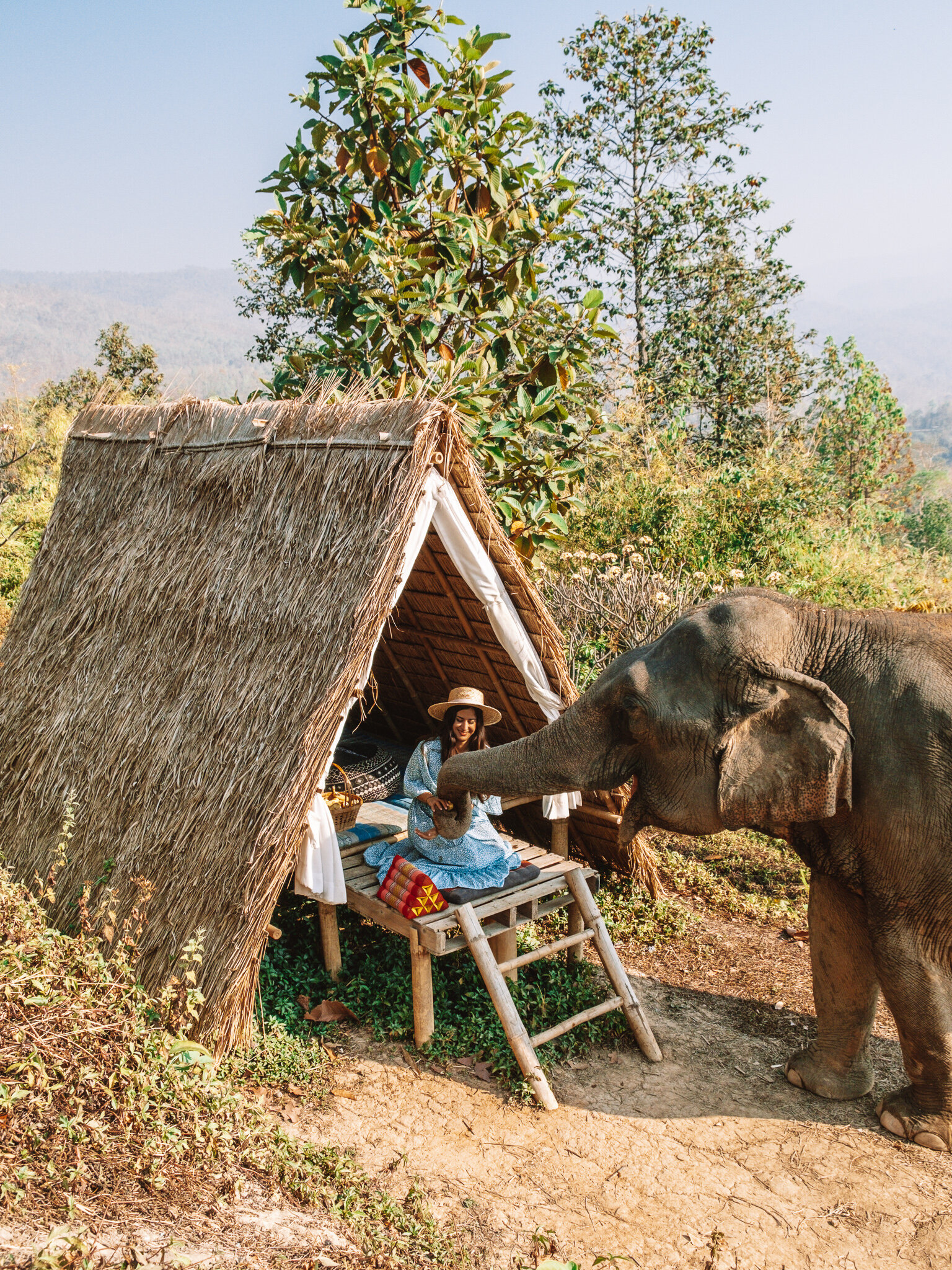 Chai Lai Orchid Eco Lodge In Chiang Mai  With Elephants