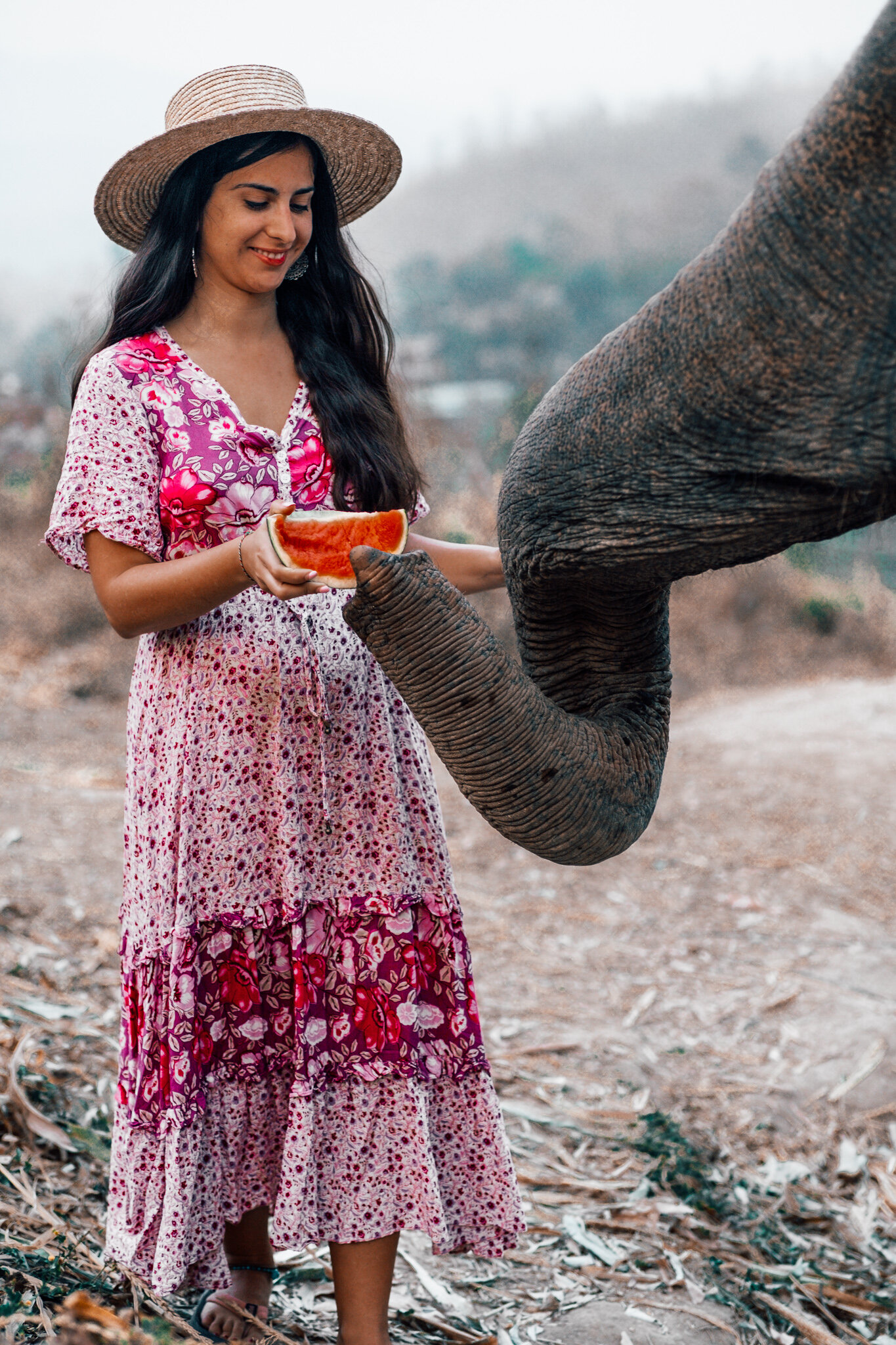 Chai Lai Orchid Eco Lodge In Chiang Mai  Feeding Elephants