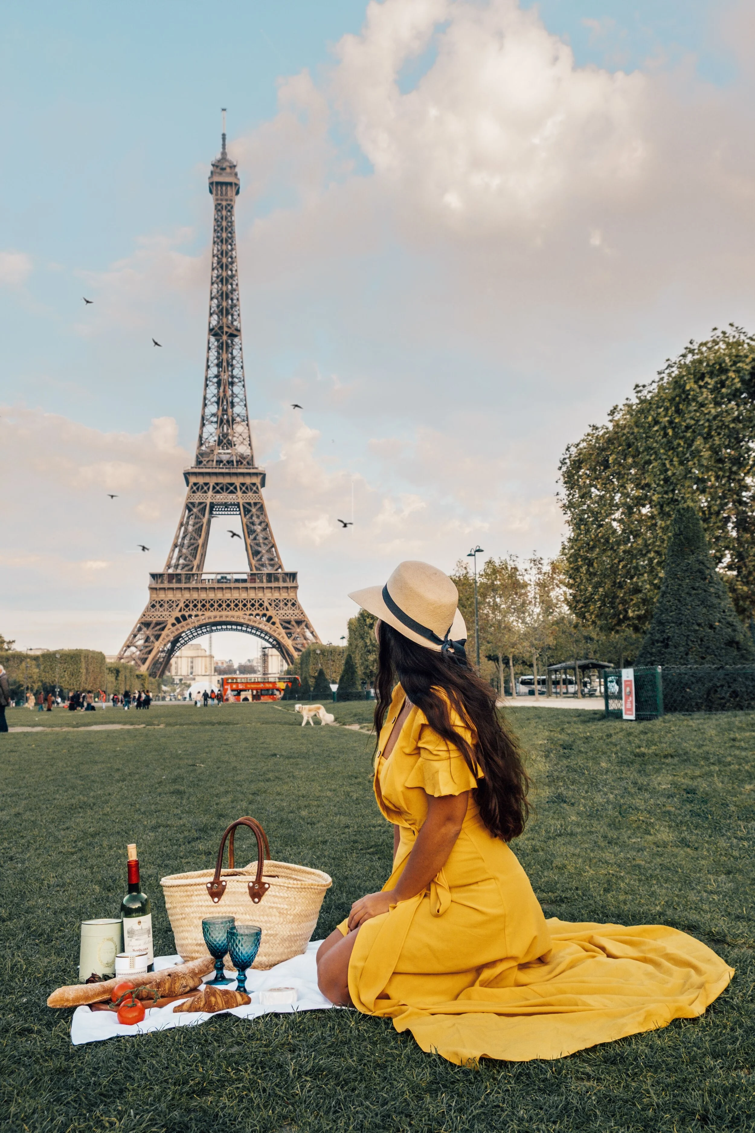 PICNIC IN PARIS.jpeg
